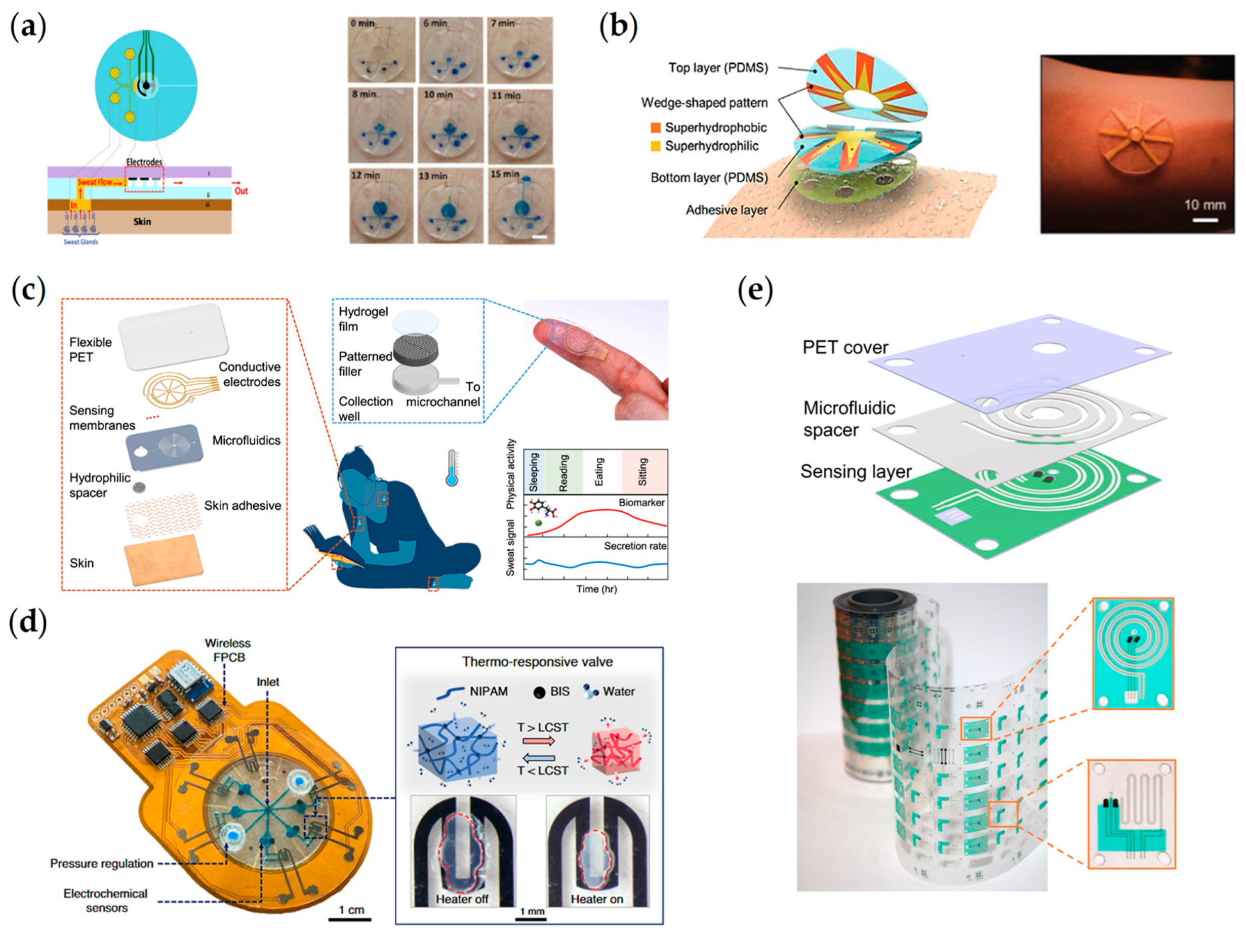 Chemosensors 11 00459 g006