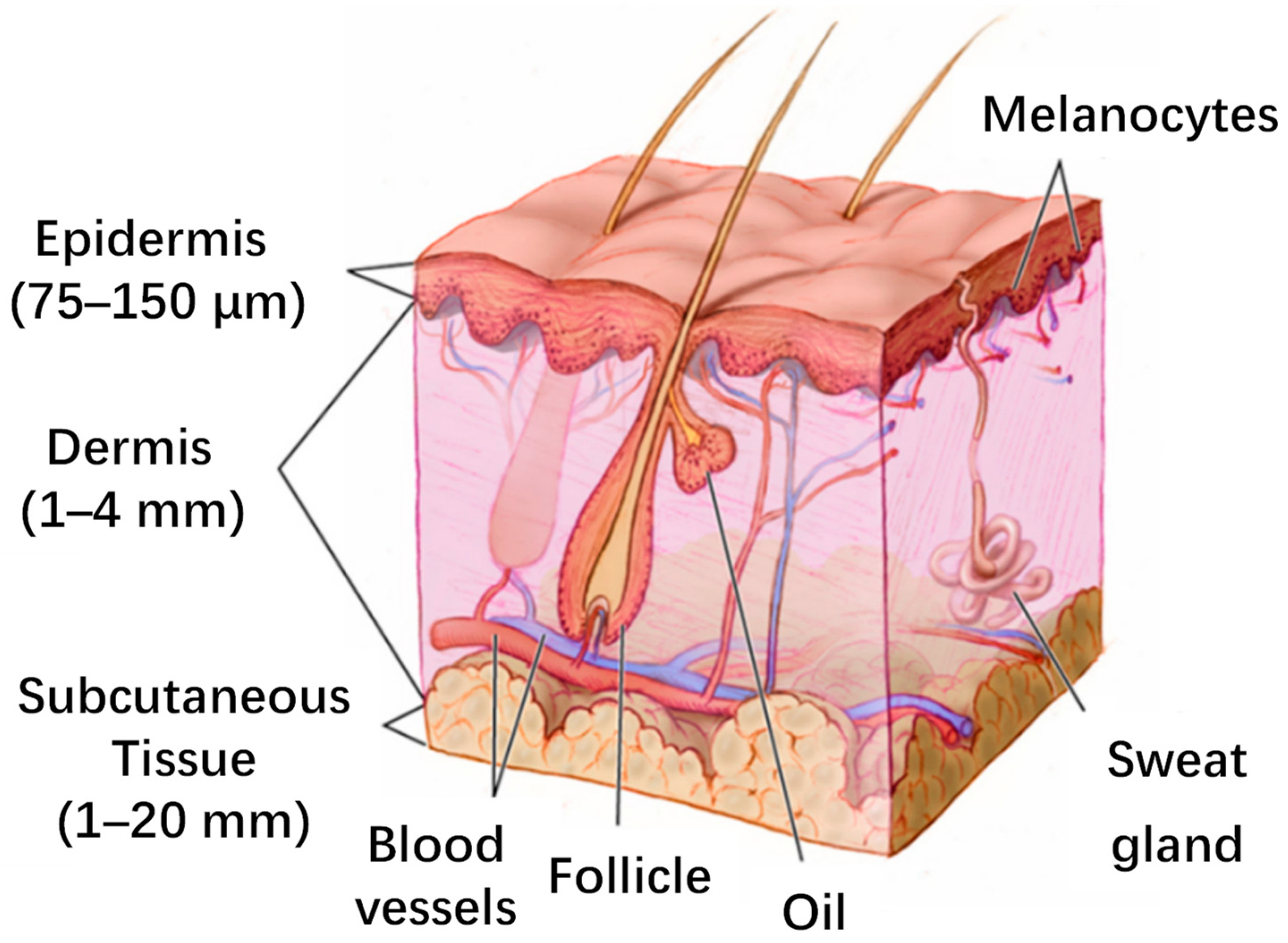 Chemosensors 11 00459 g007