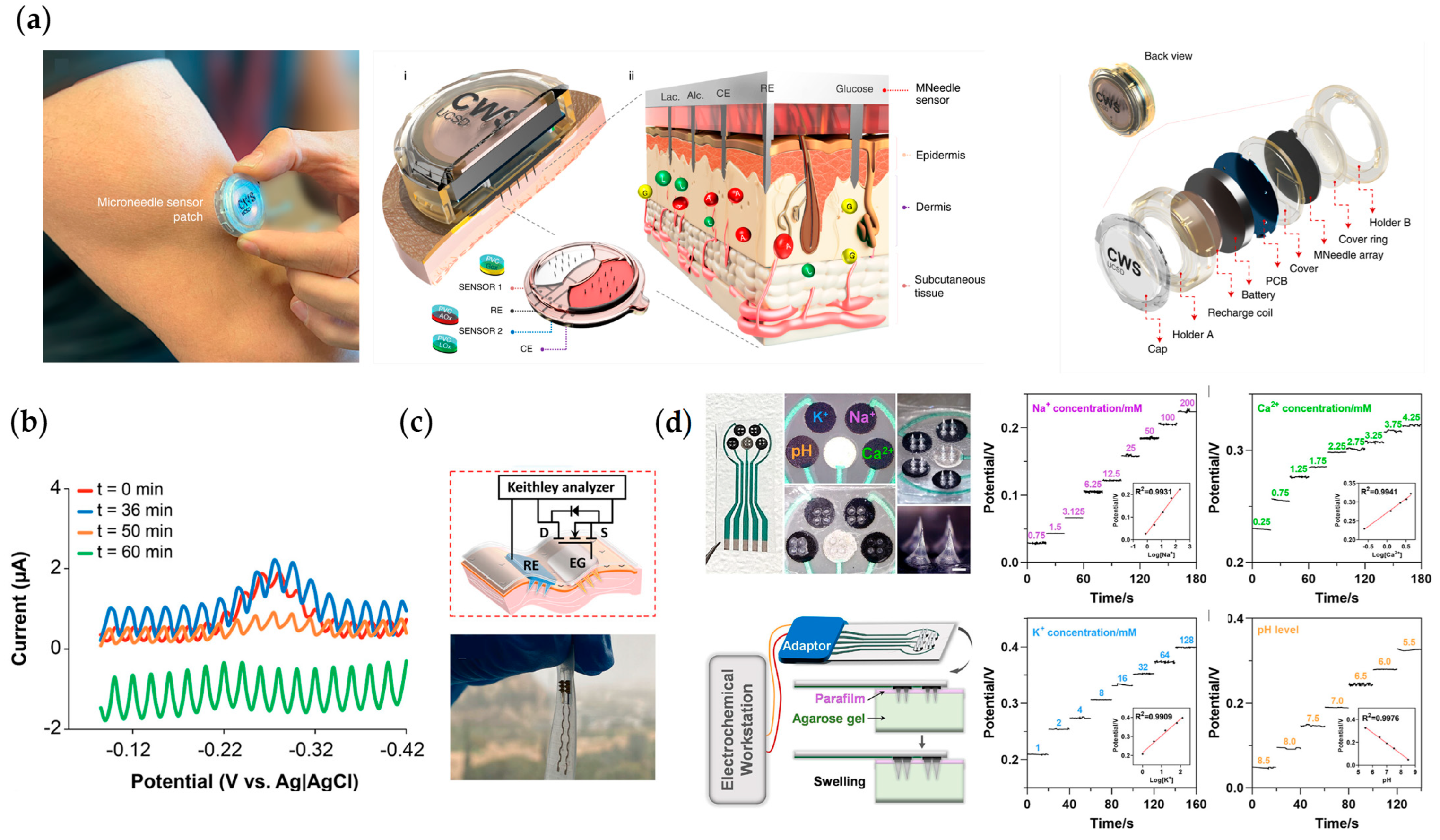 Chemosensors 11 00459 g009