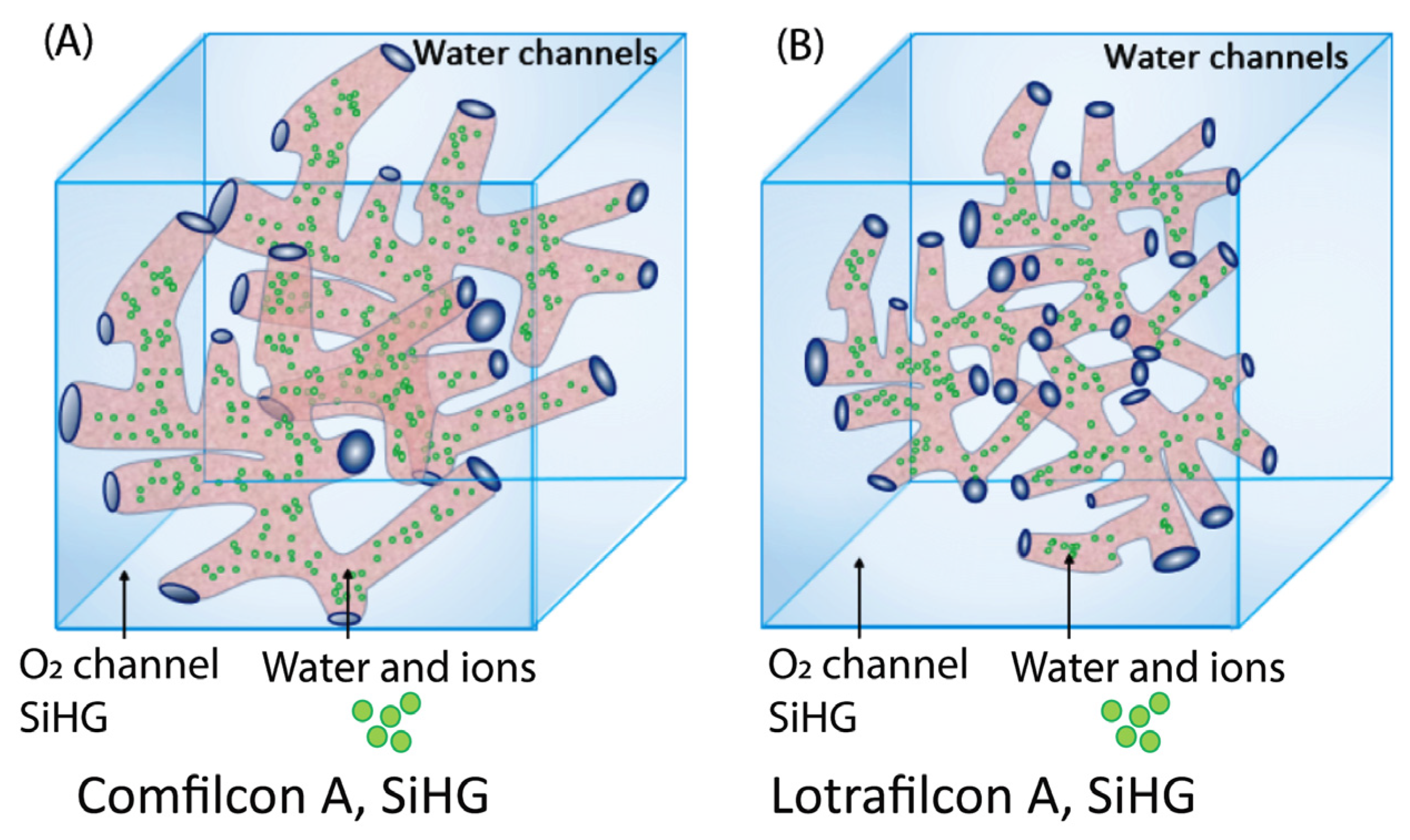 Chemosensors 11 00463 g003