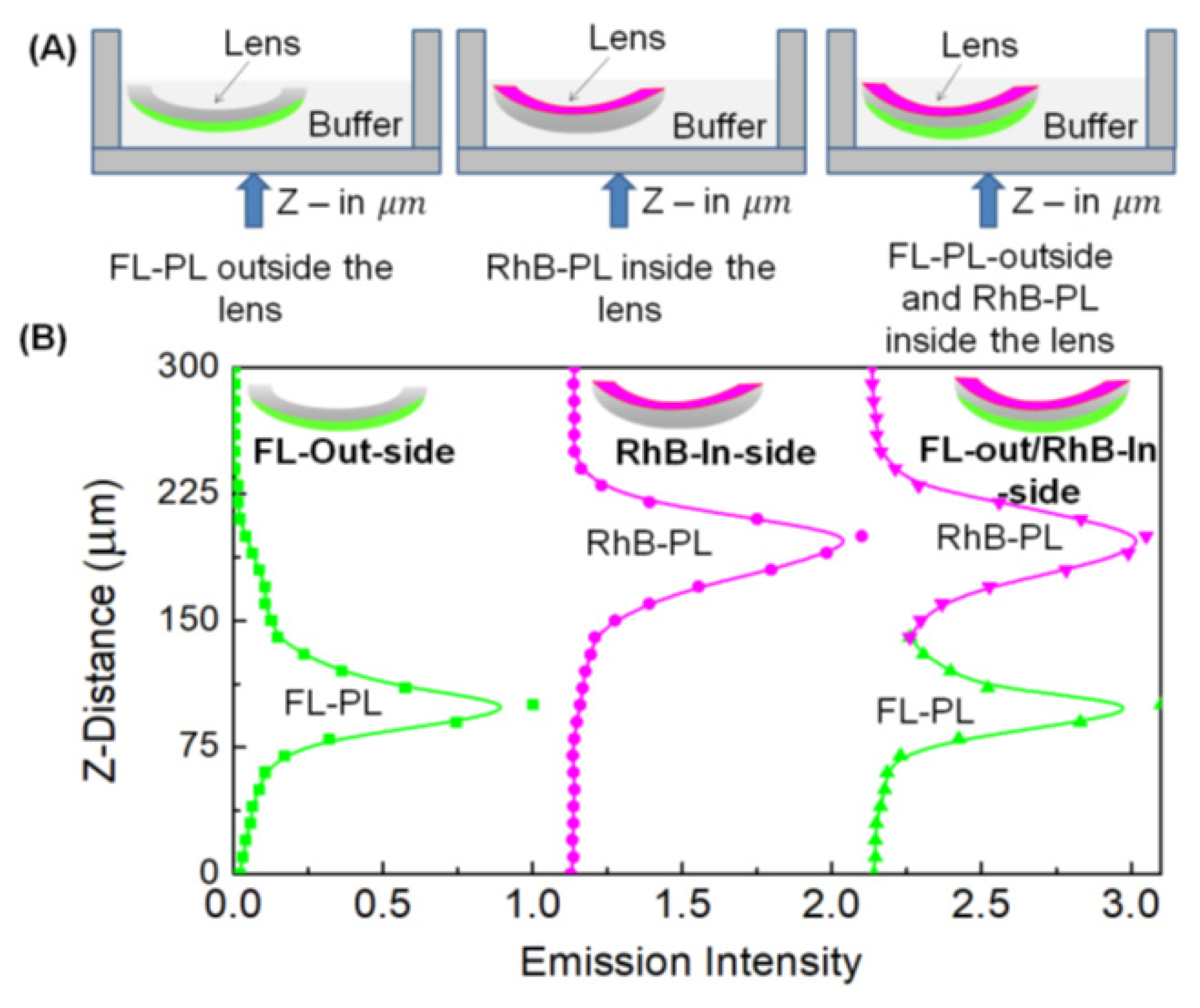 Chemosensors 11 00463 g006