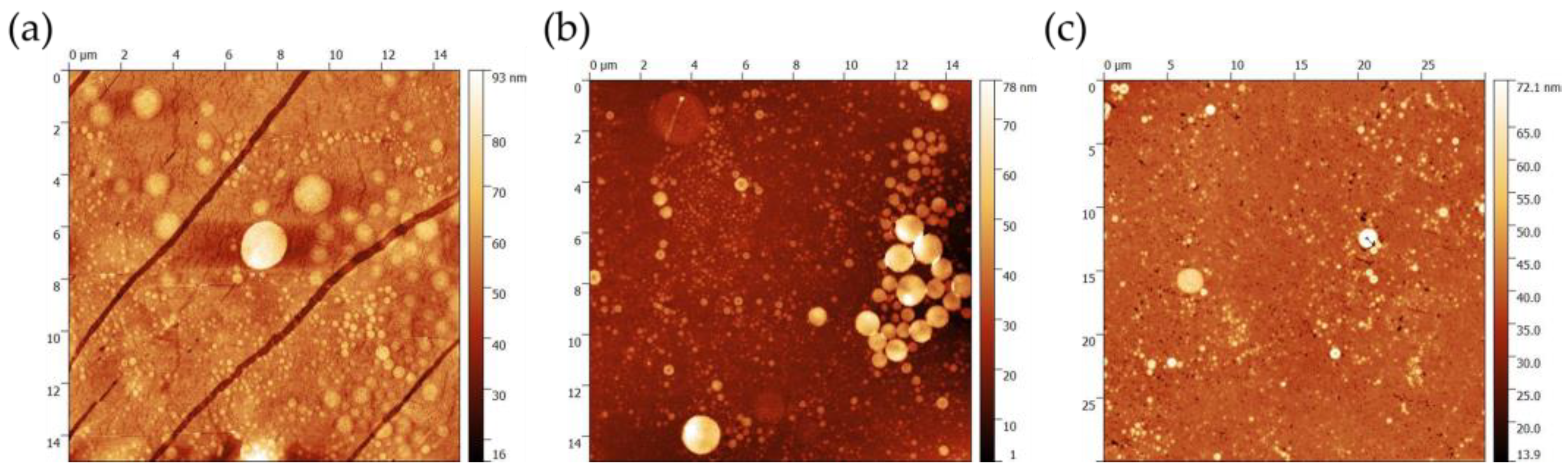 Chemosensors 11 00464 g002
