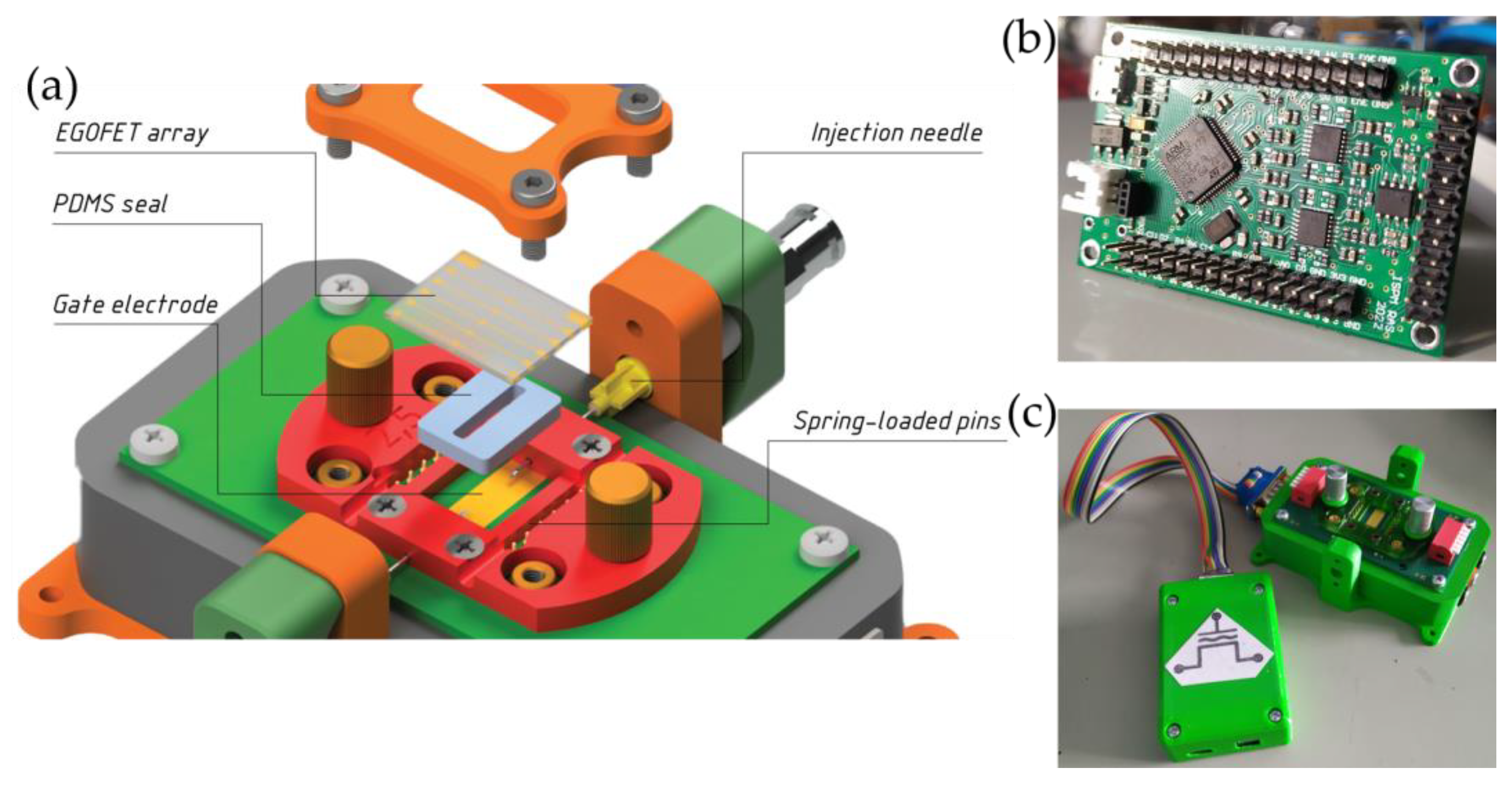 Chemosensors 11 00464 g005