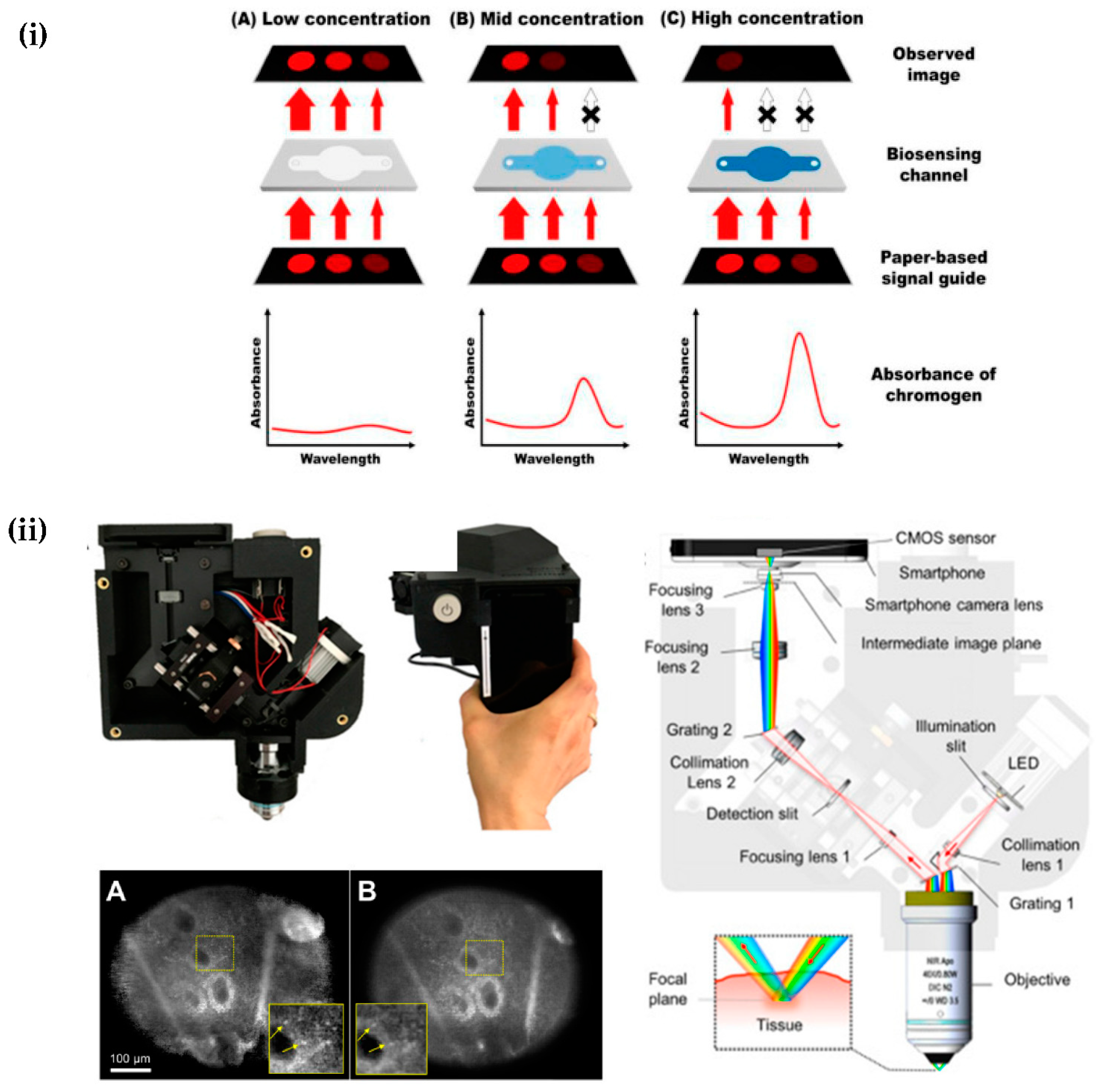 Chemosensors 11 00468 g004
