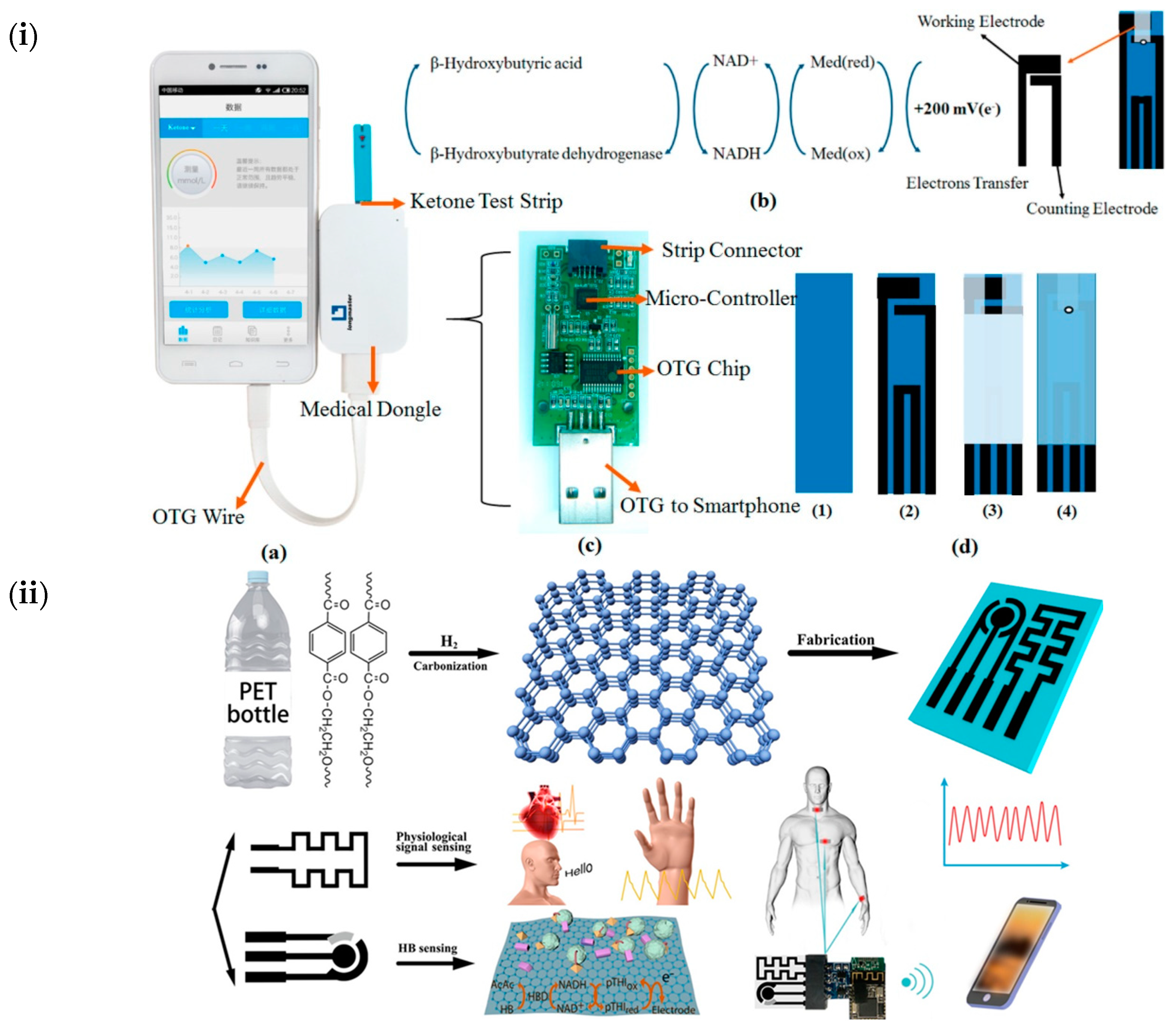 Chemosensors 11 00468 g007