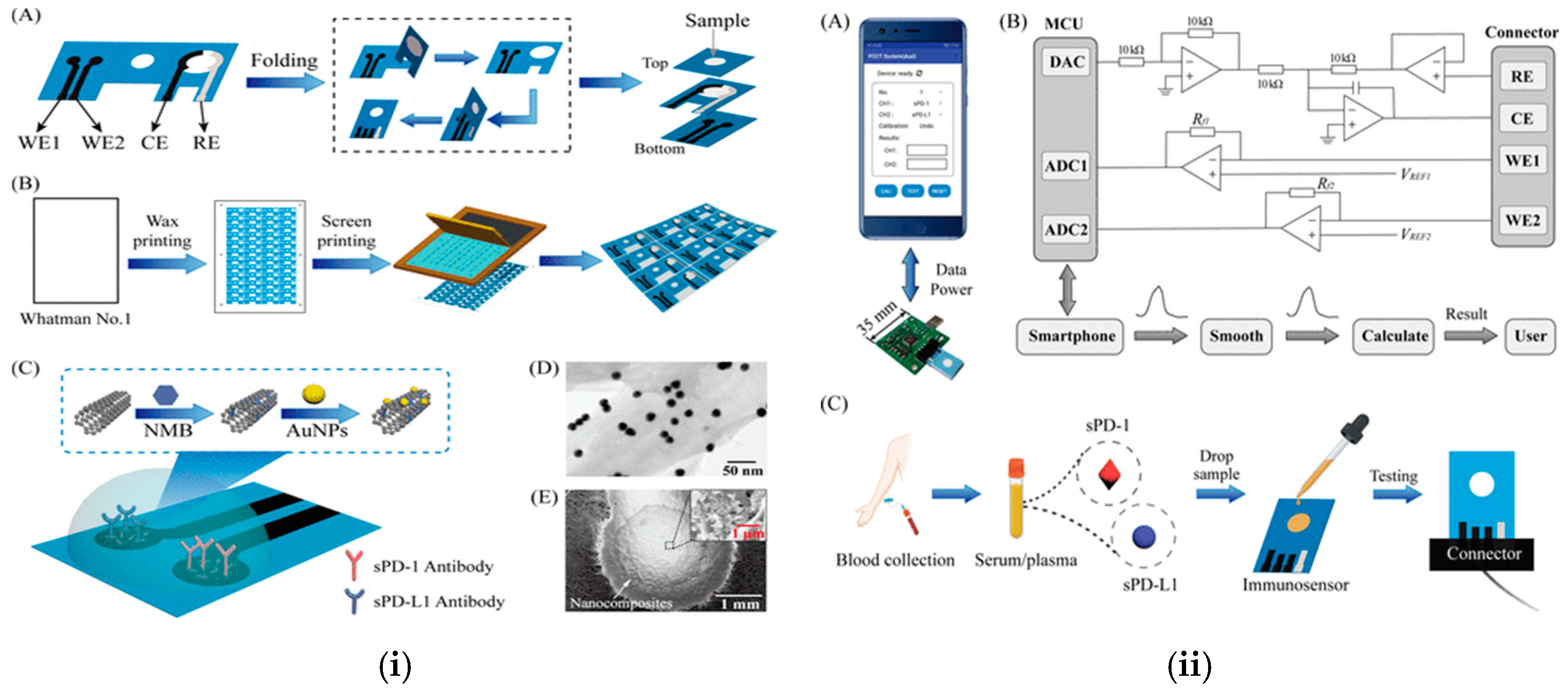 Chemosensors 11 00468 g008