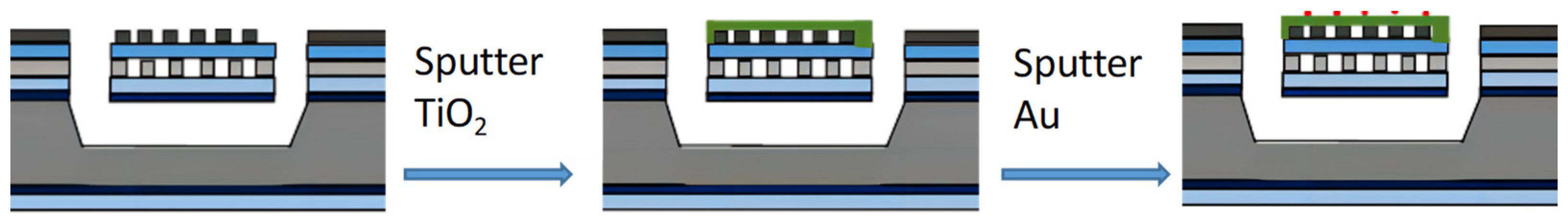 Chemosensors 11 00476 g001