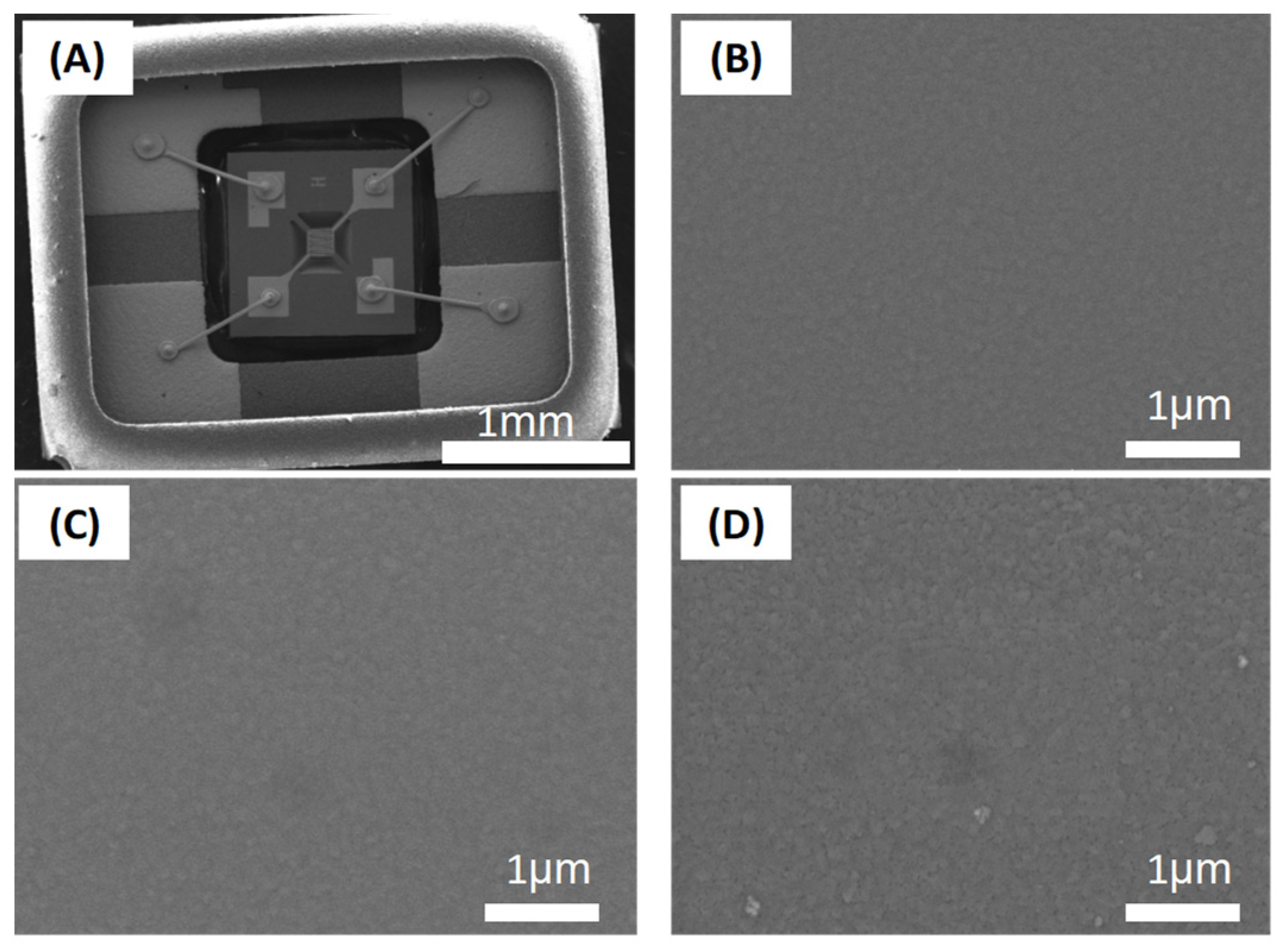 Chemosensors 11 00476 g002