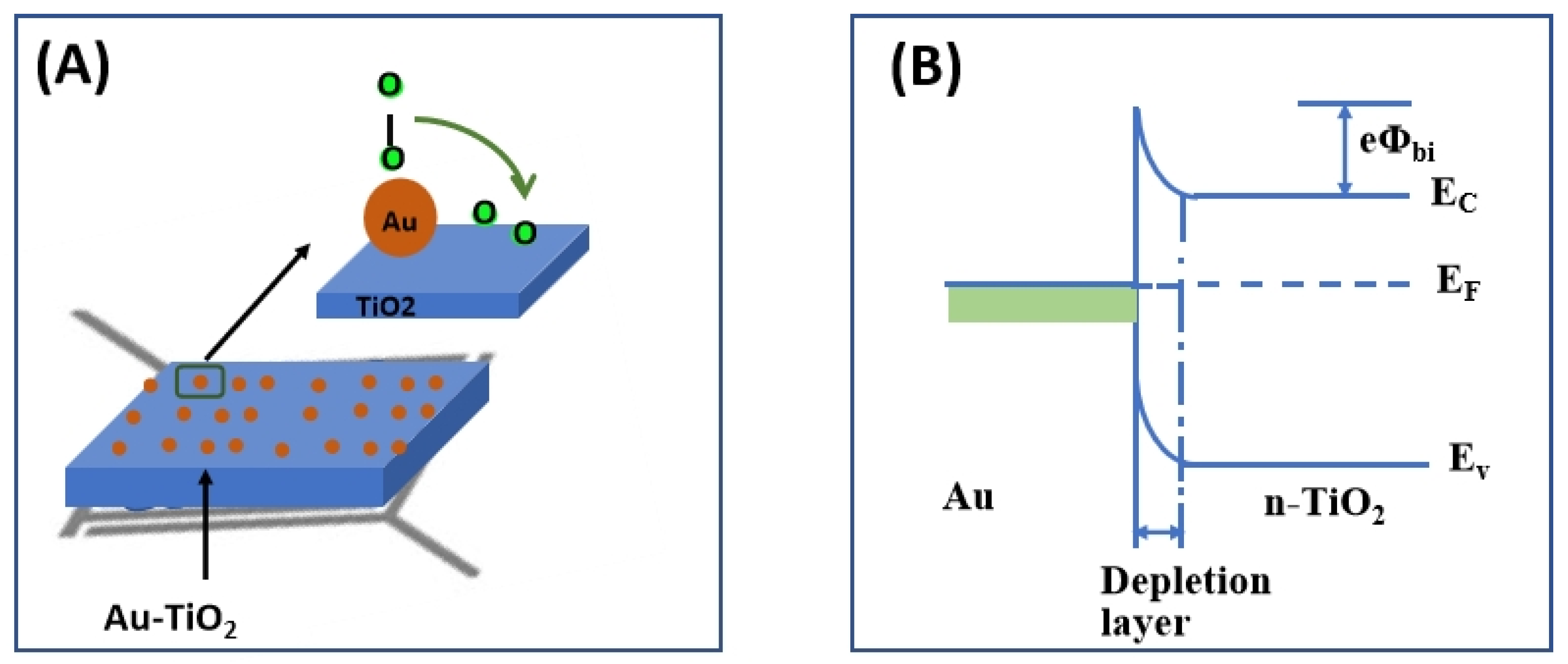Chemosensors 11 00476 g006