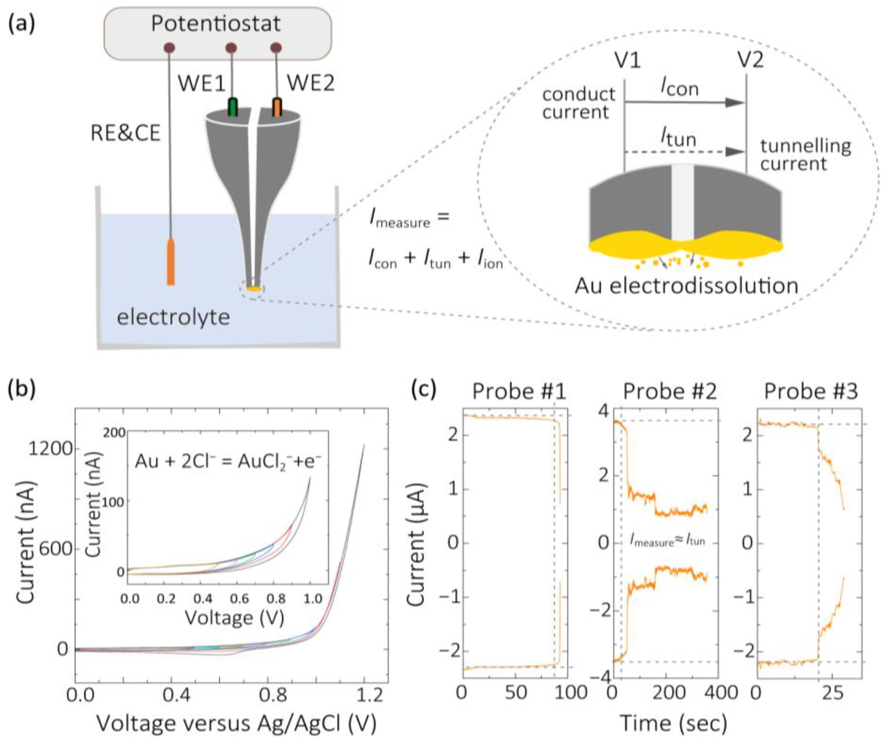 Chemosensors 11 00480 g001