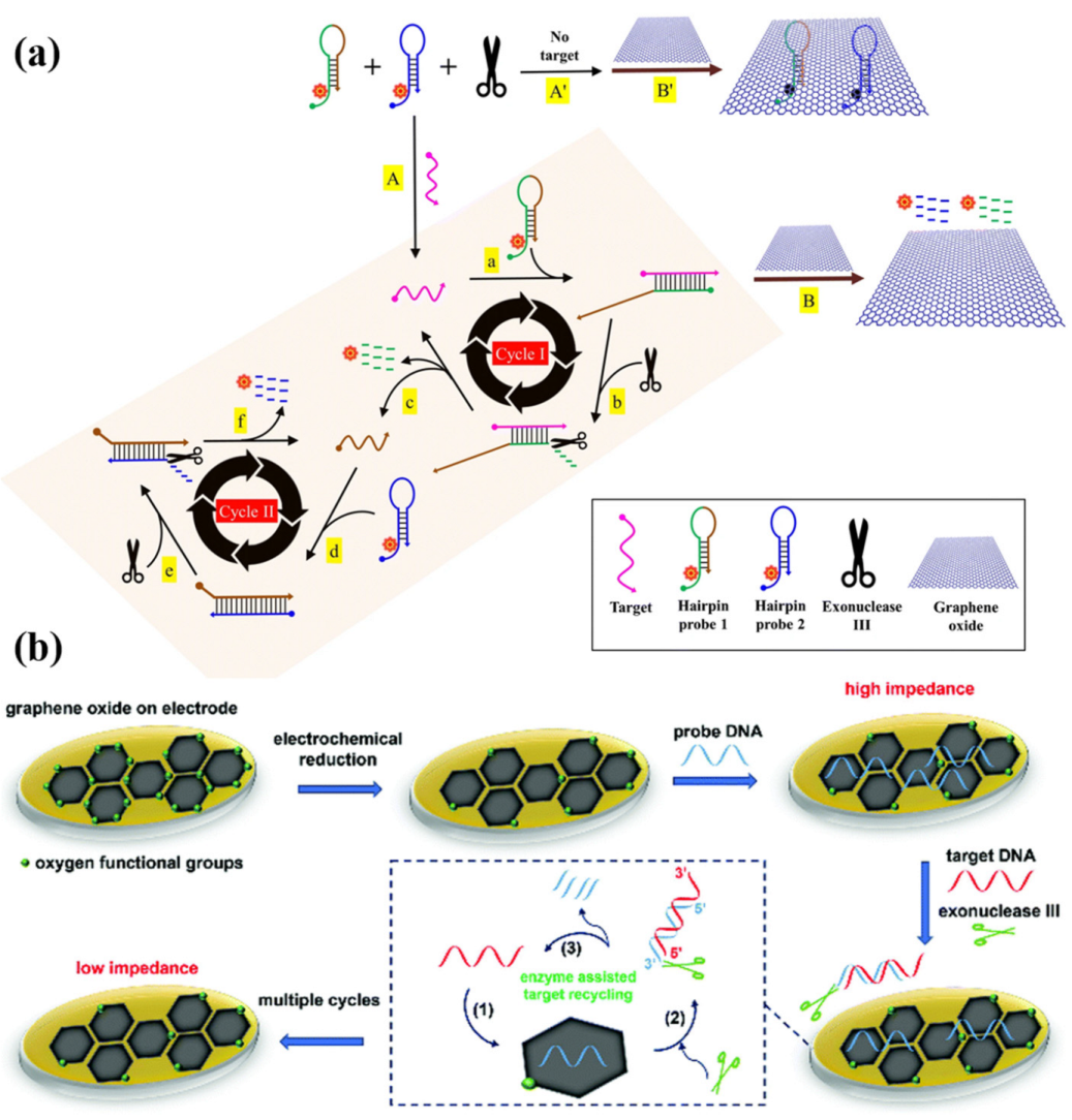 Chemosensors 11 00481 g001