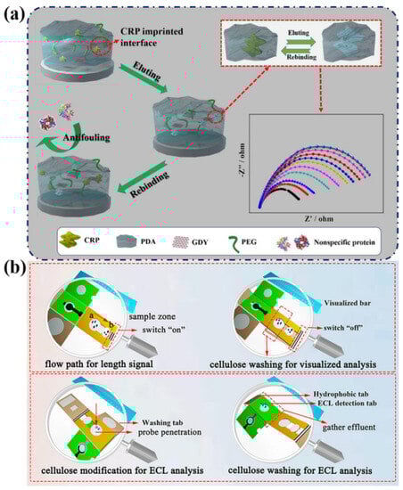 Chemosensors 11 00481 g004