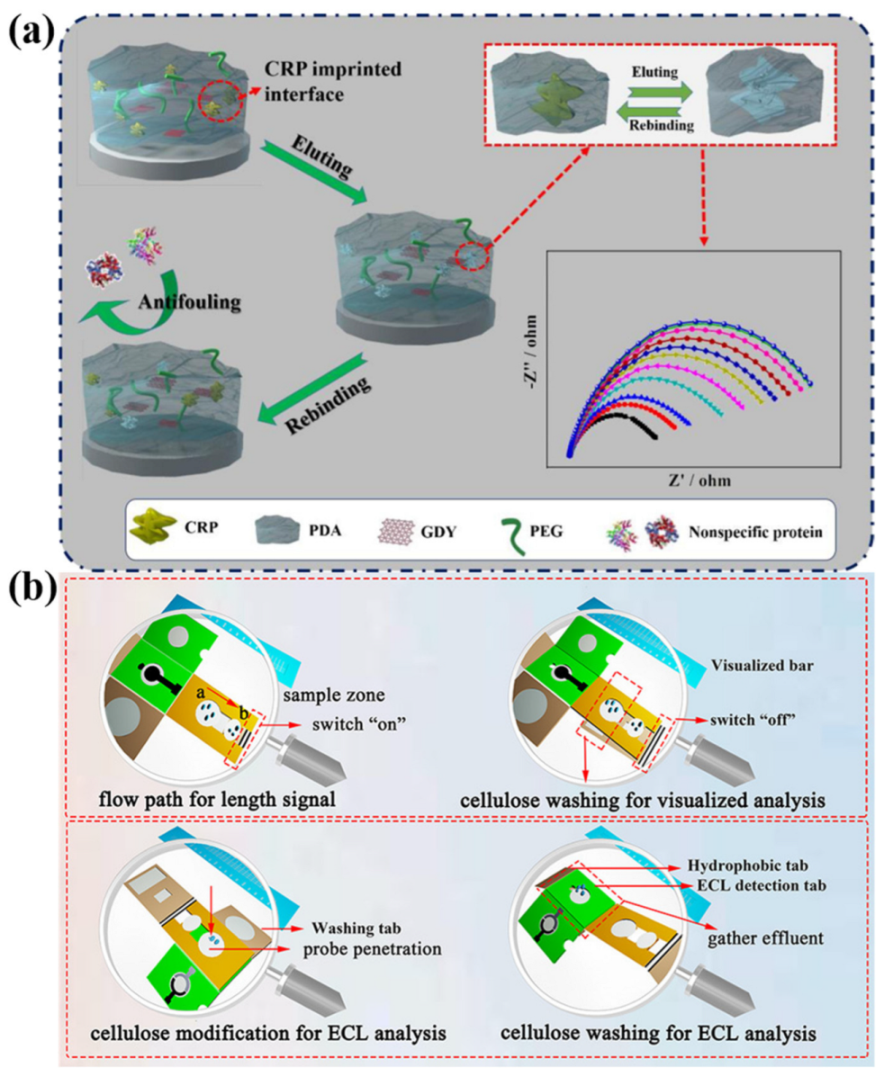 Chemosensors 11 00481 g004
