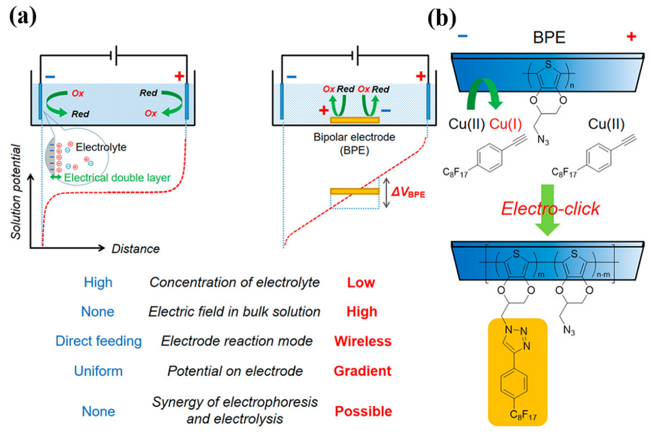 Chemosensors 11 00481 g009