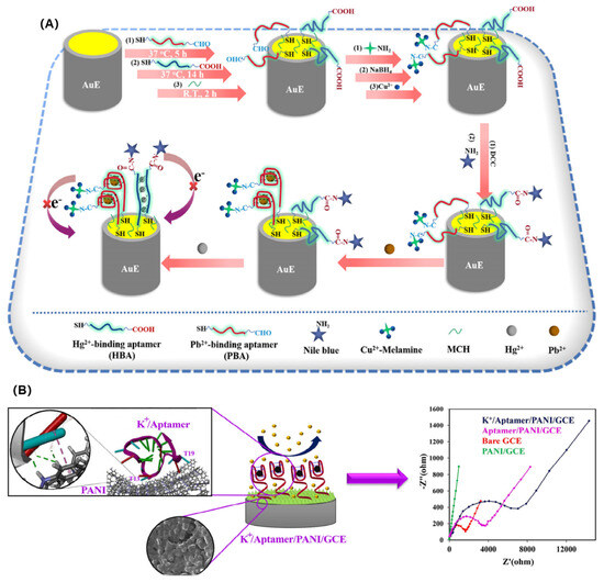 Chemosensors 11 00488 g001