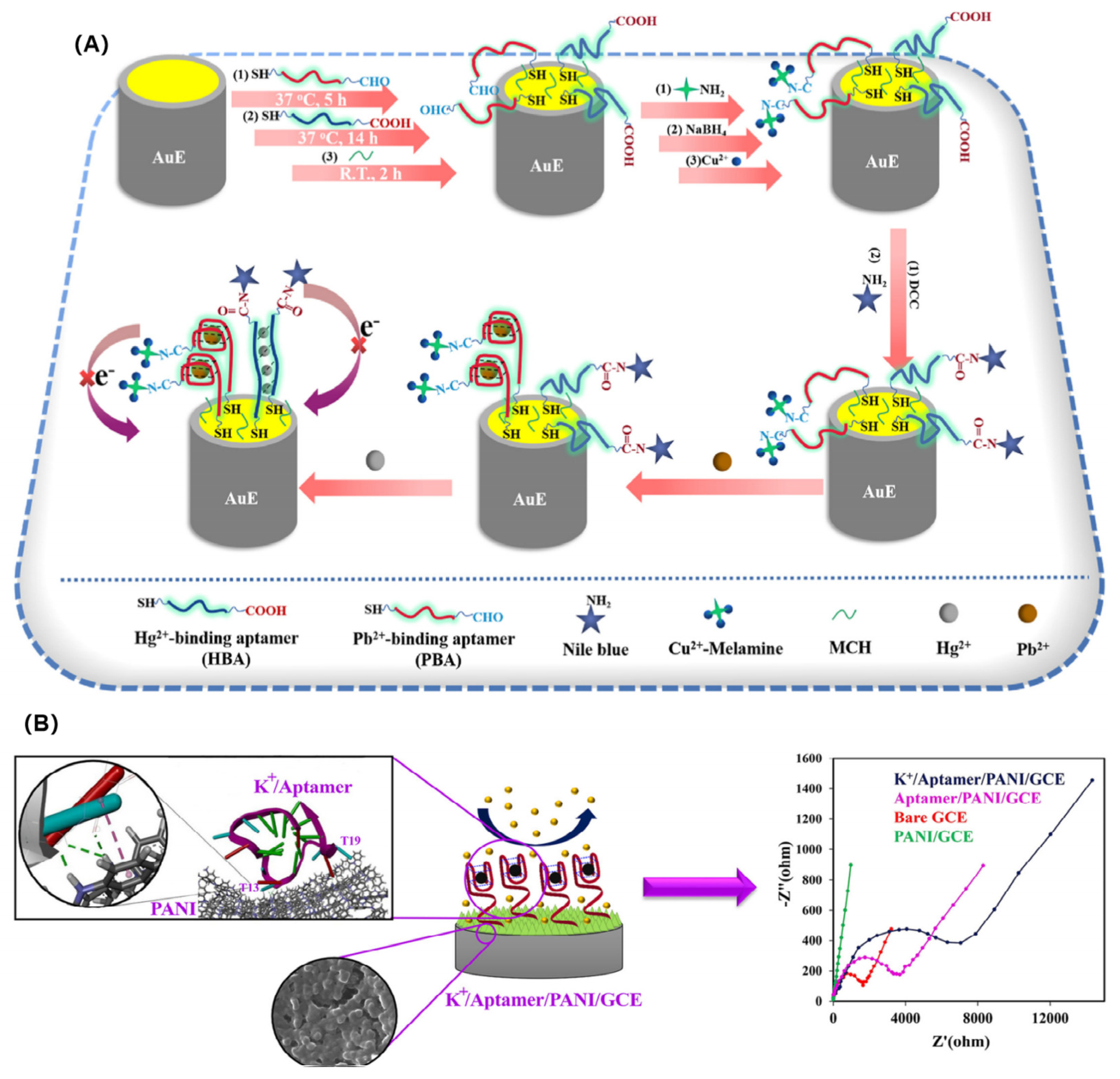 Chemosensors 11 00488 g001