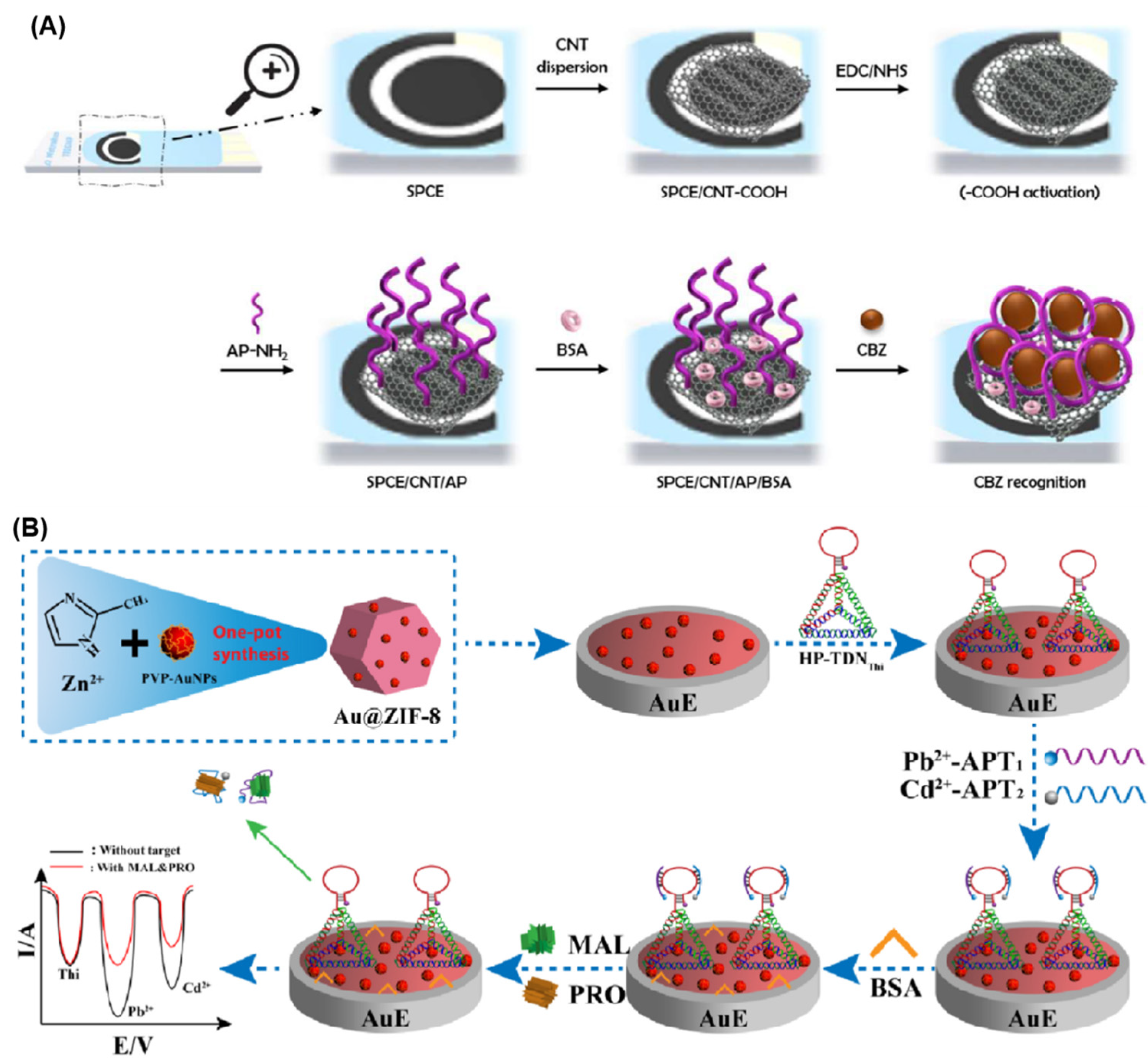 Chemosensors 11 00488 g002