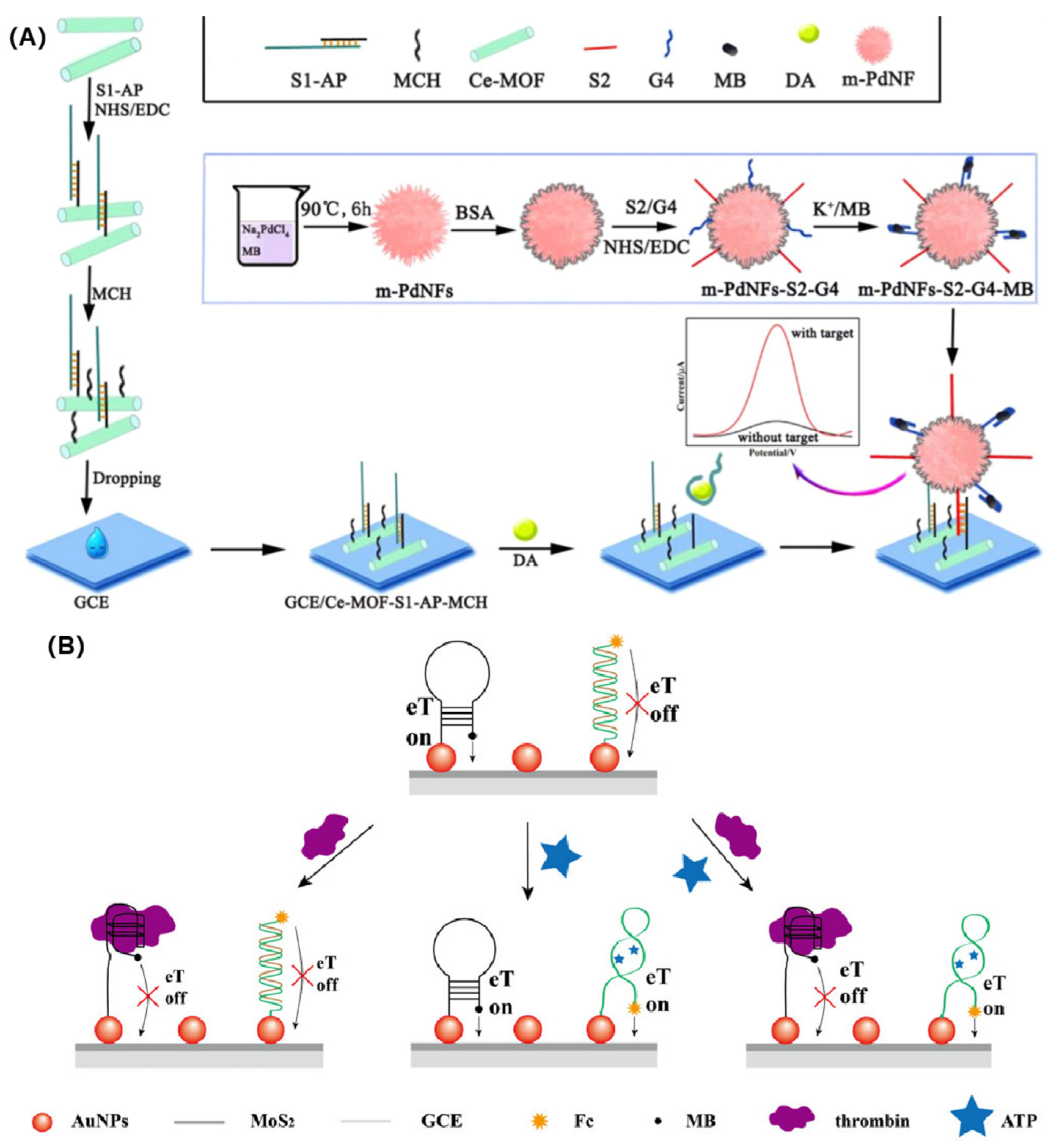 Chemosensors 11 00488 g003