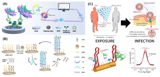 Chemosensors 11 00488 g005