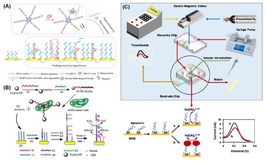 Chemosensors 11 00488 g007
