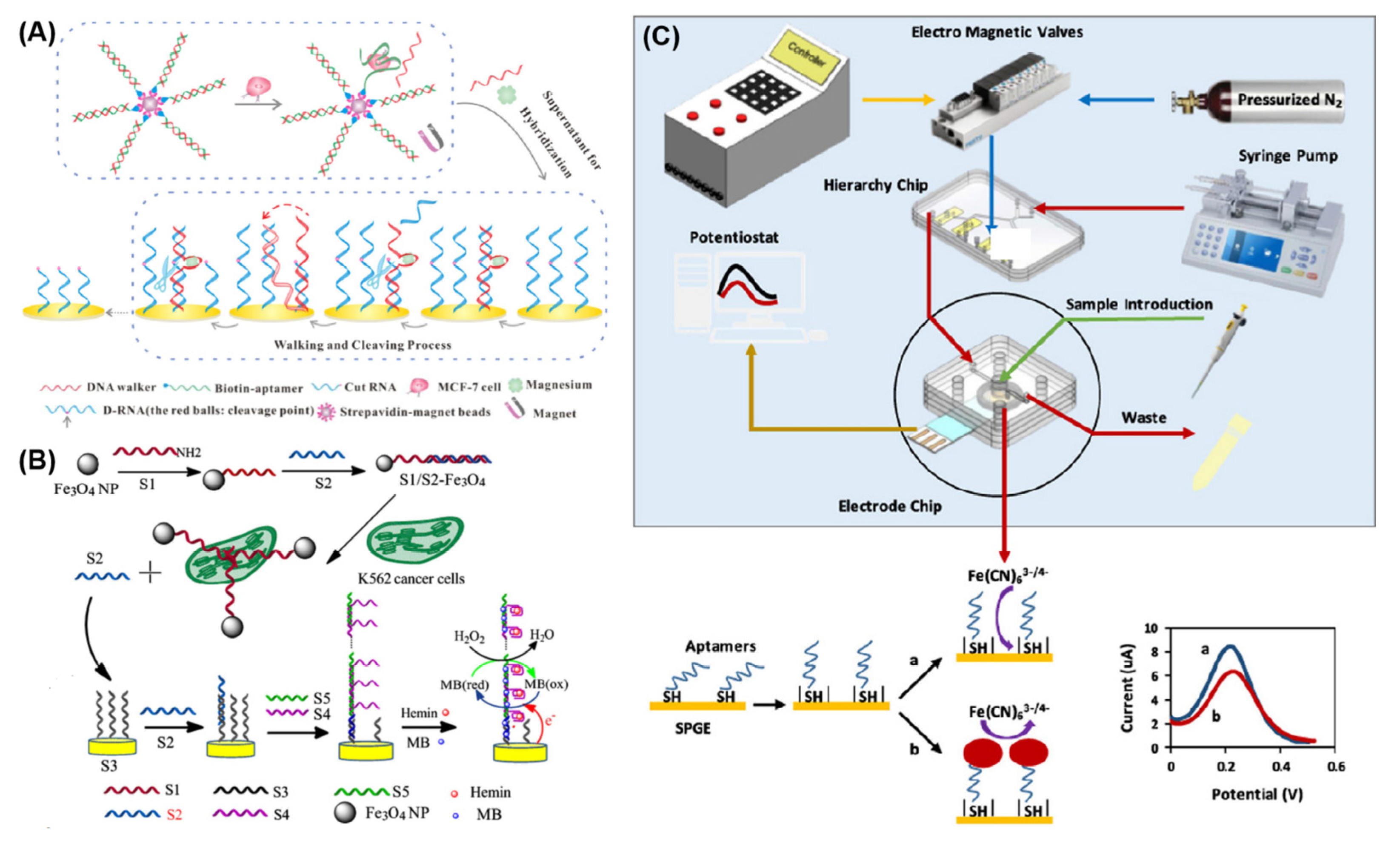 Chemosensors 11 00488 g007