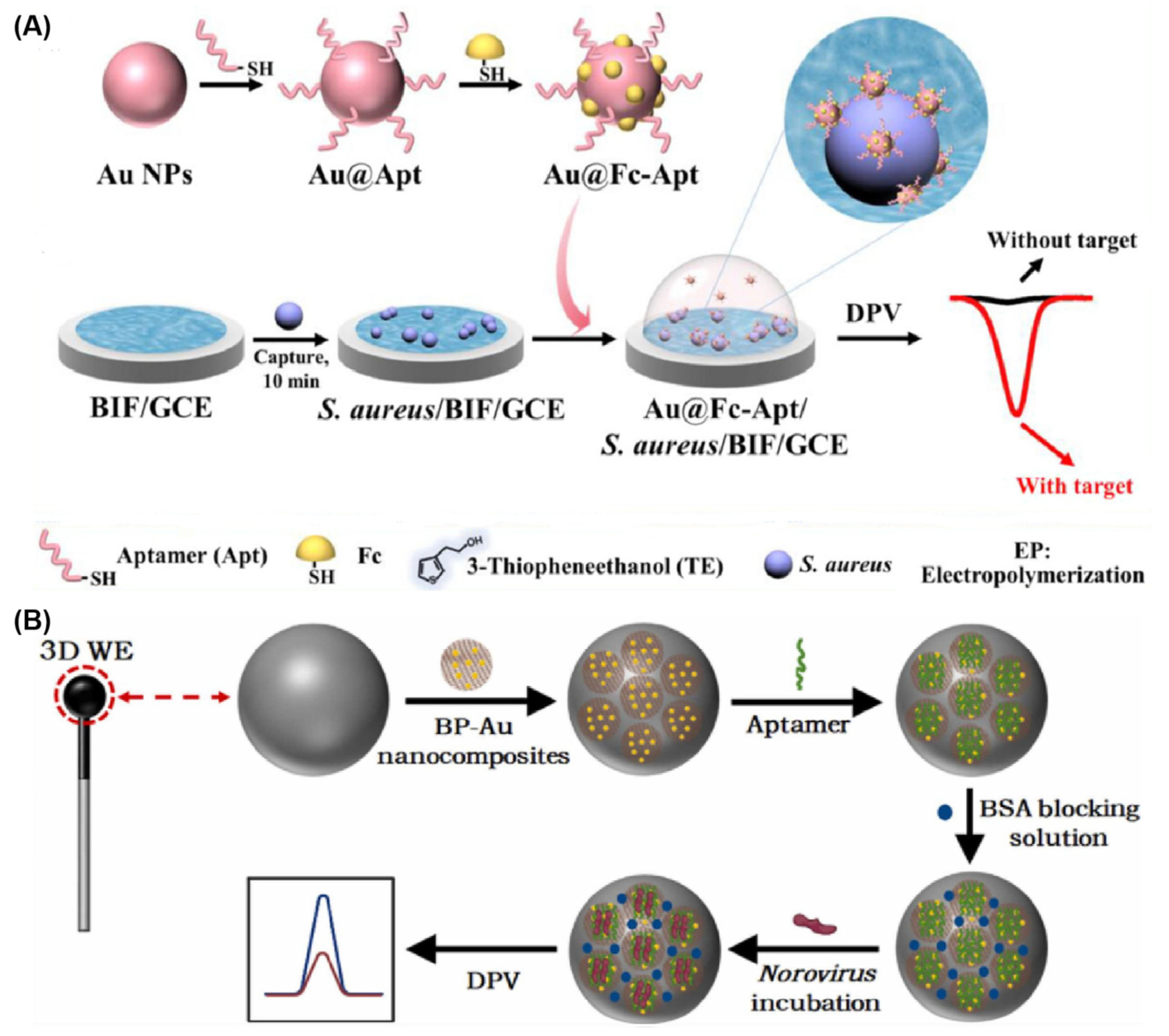 Chemosensors 11 00488 g008