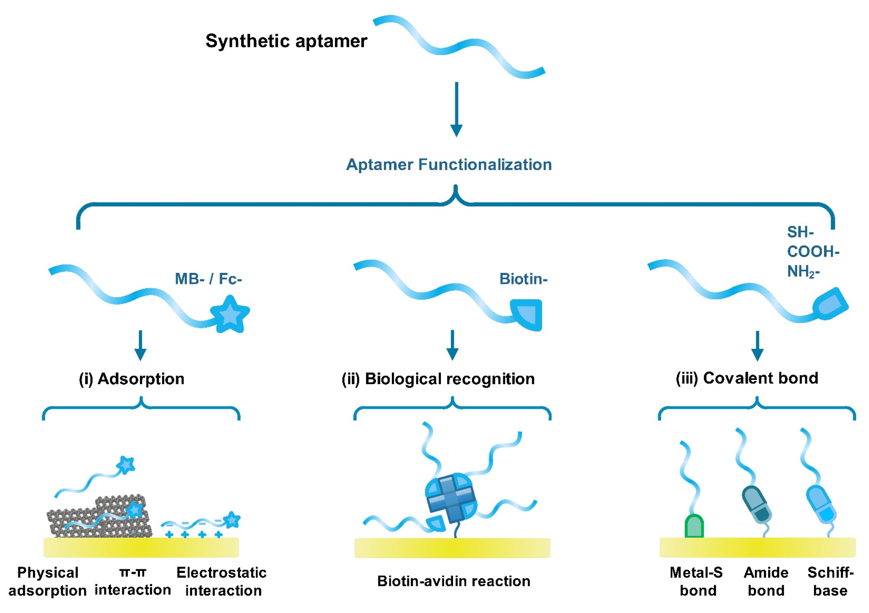 Chemosensors 11 00488 sch001