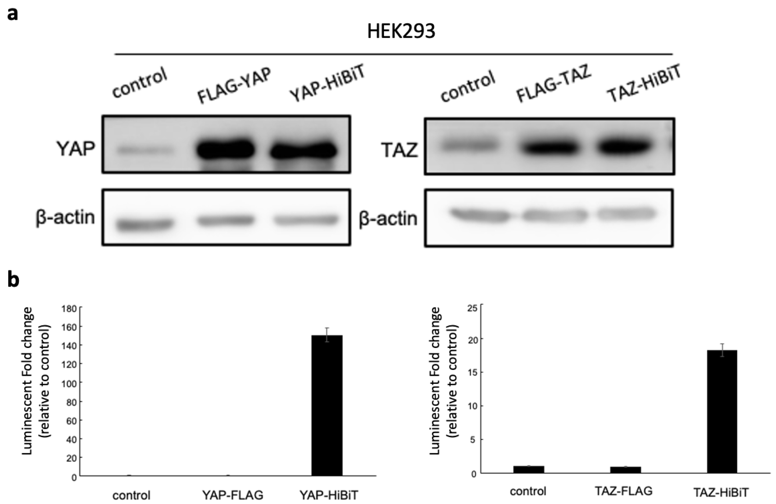 Chemosensors 11 00492 g002