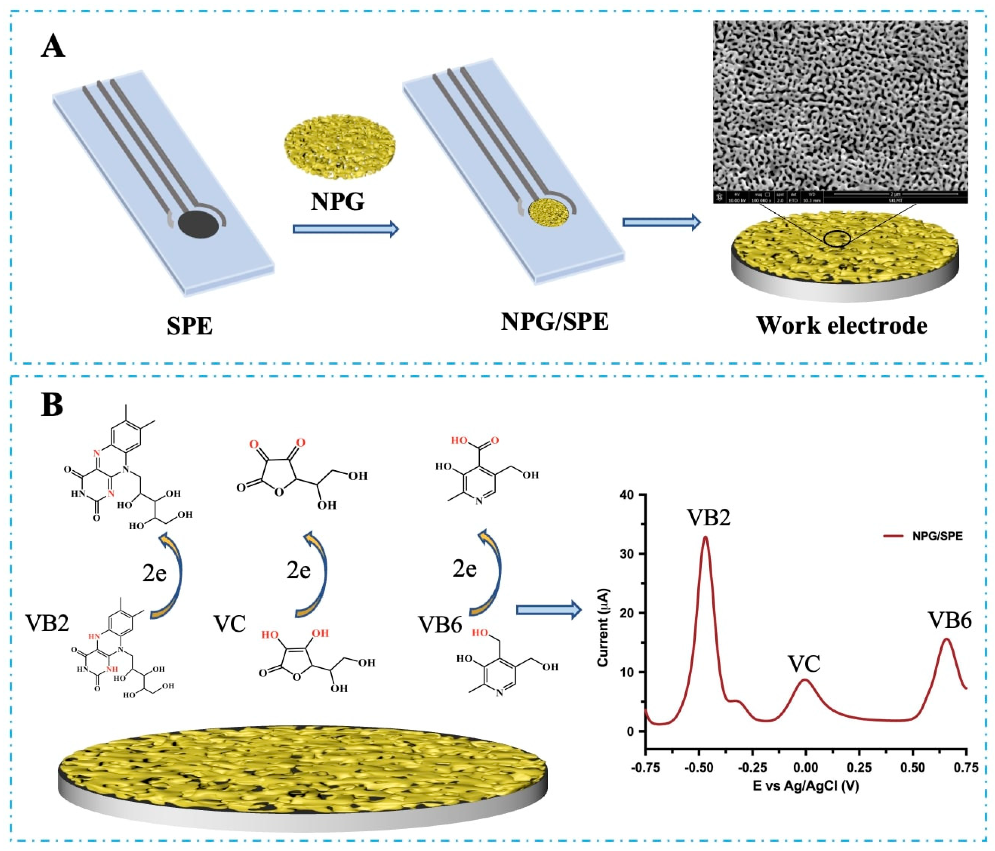 Chemosensors 11 00502 sch001