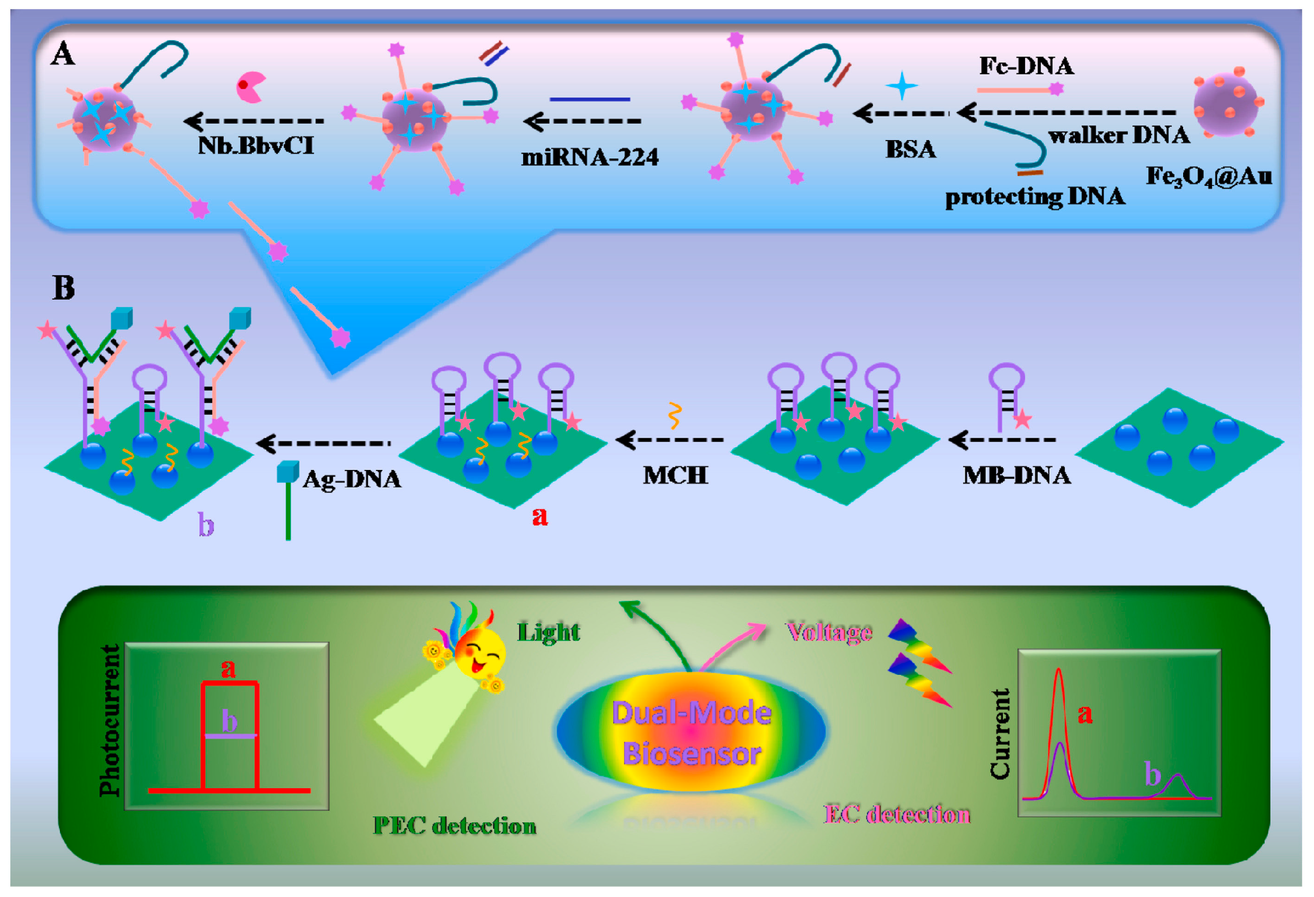 Chemosensors 11 00504 g003
