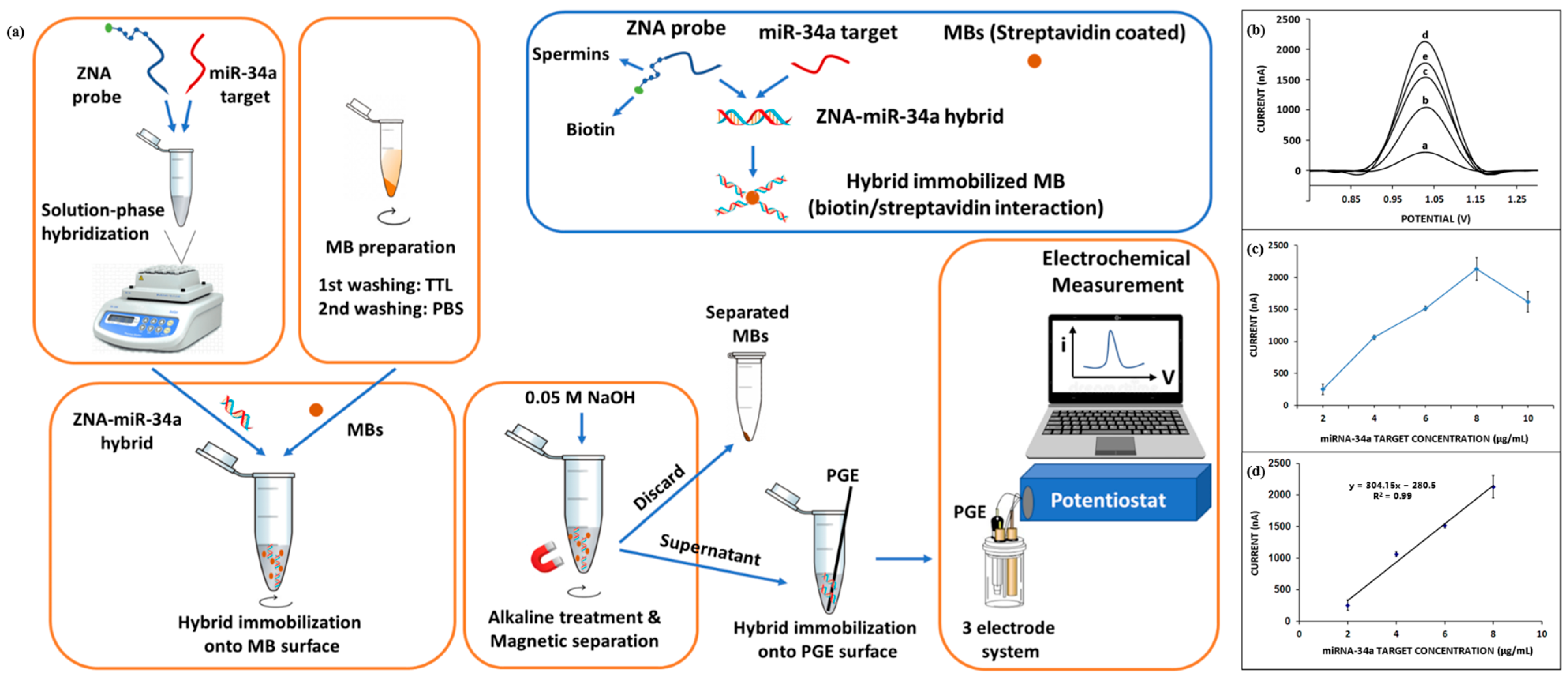 Chemosensors 11 00504 g005