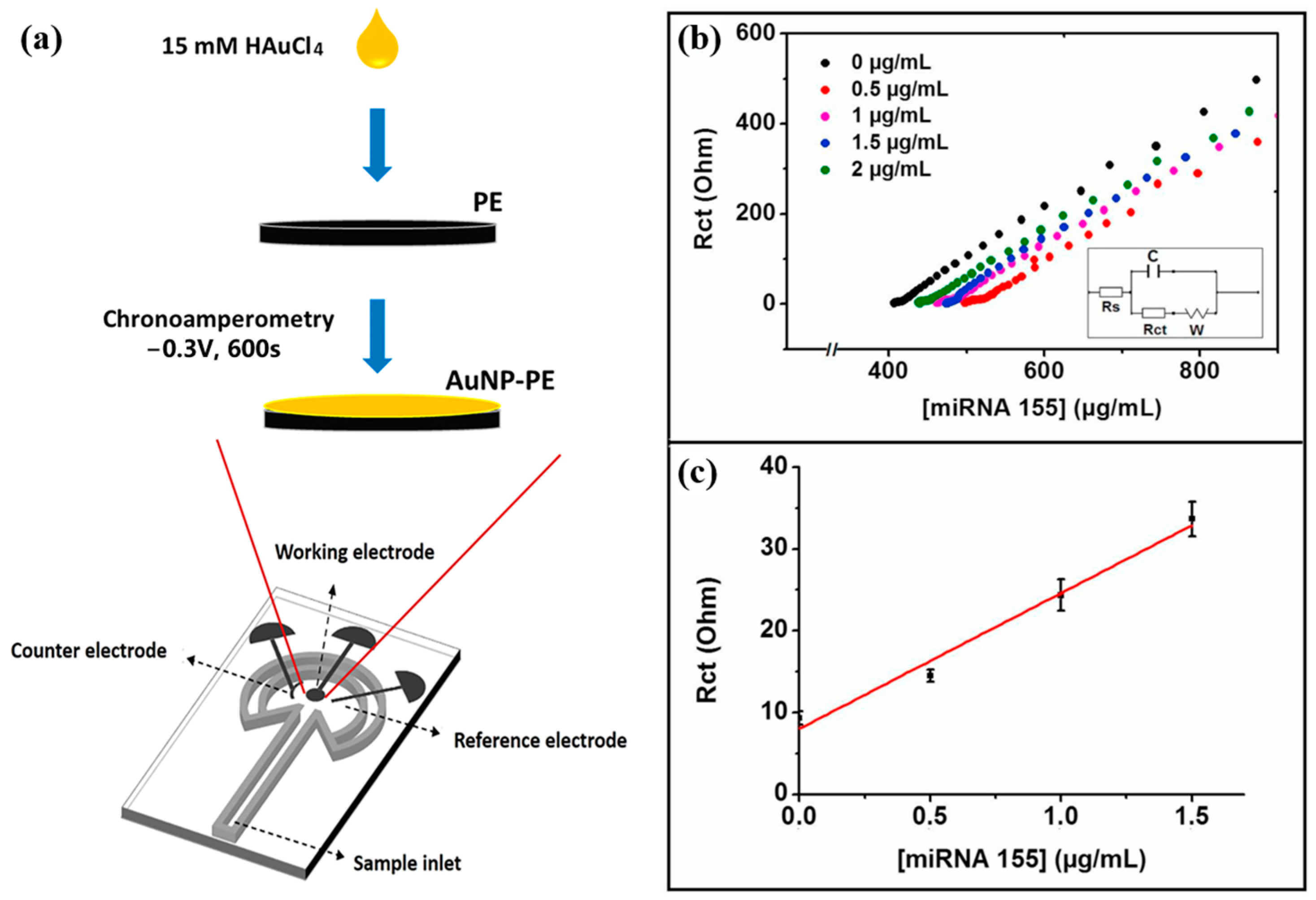 Chemosensors 11 00504 g006