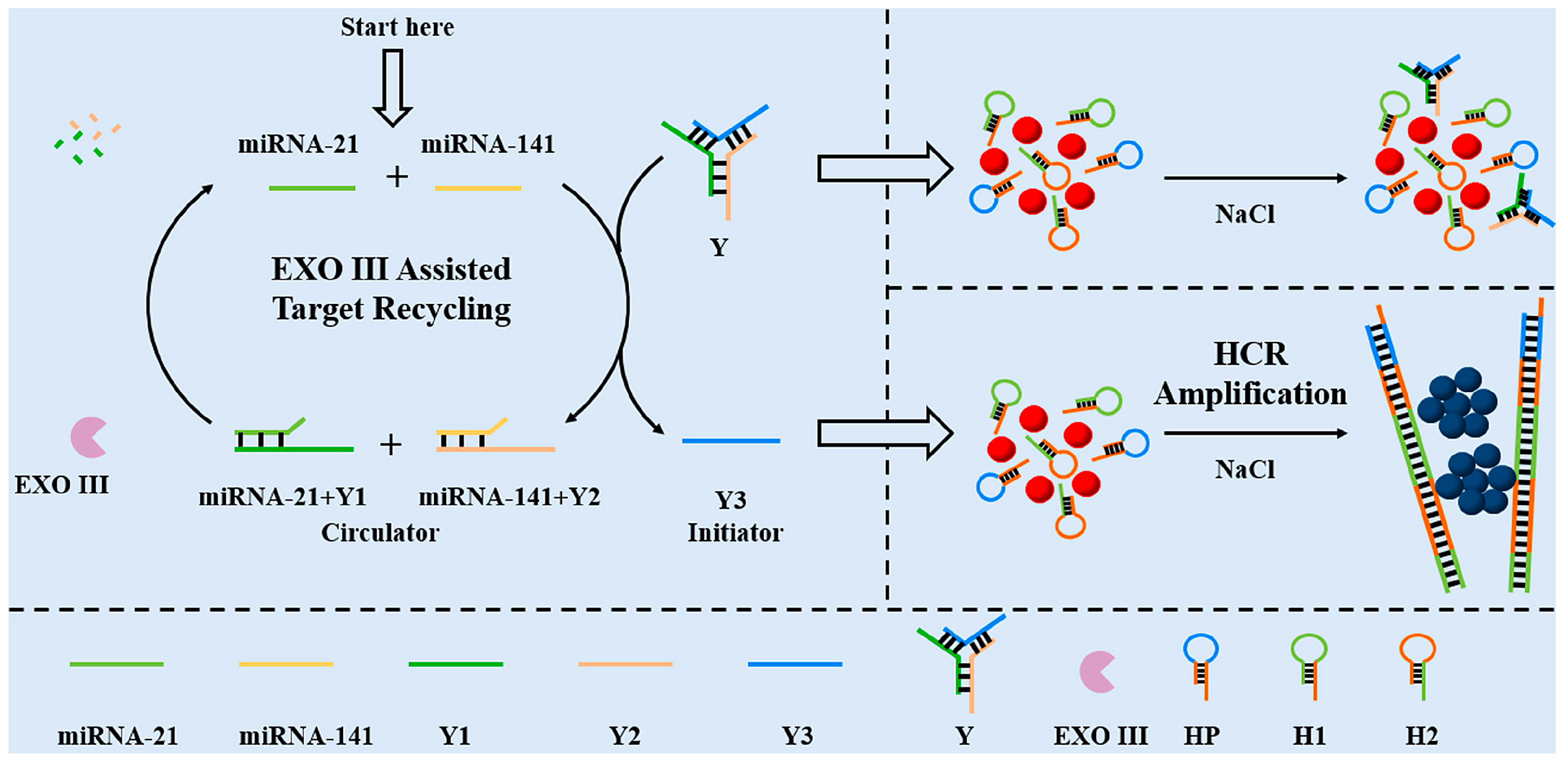 Chemosensors 11 00504 g007