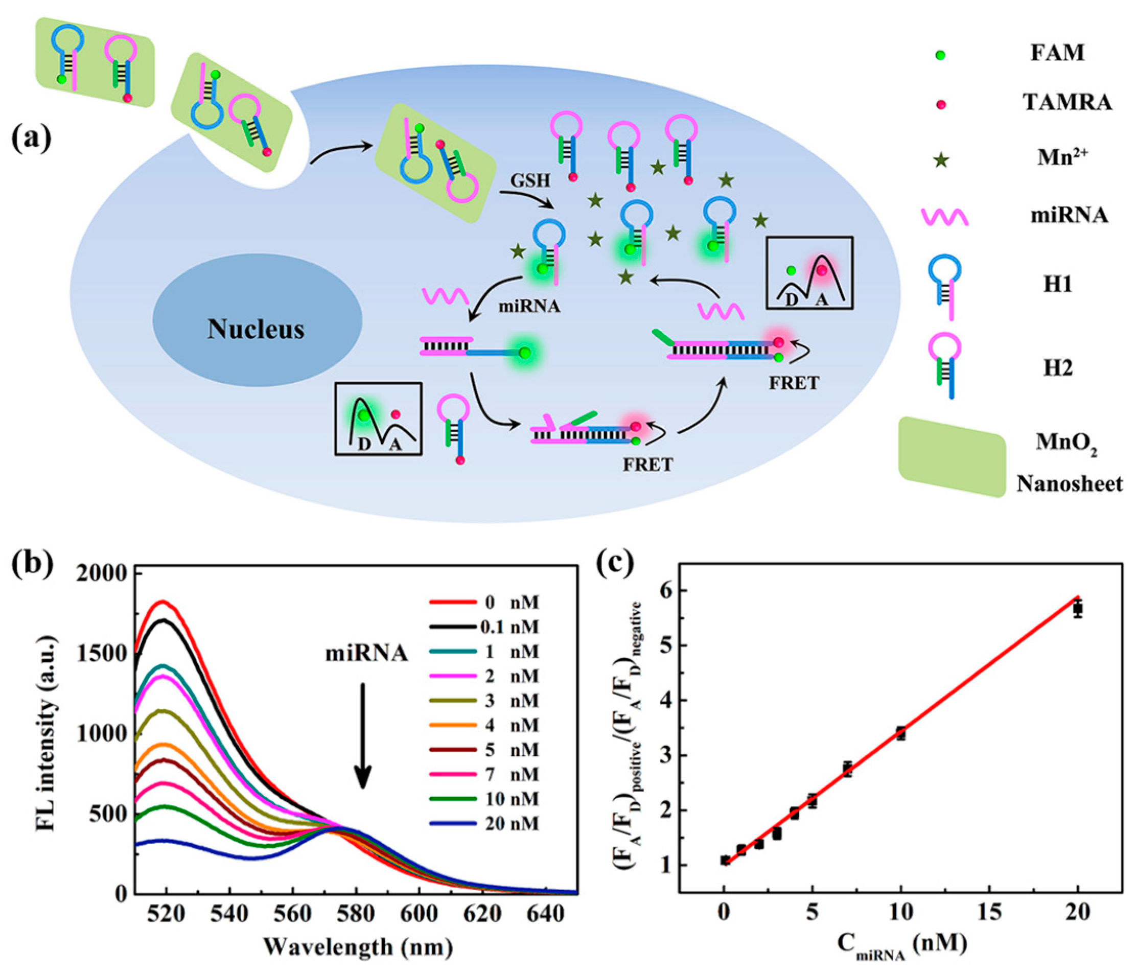 Chemosensors 11 00504 g009