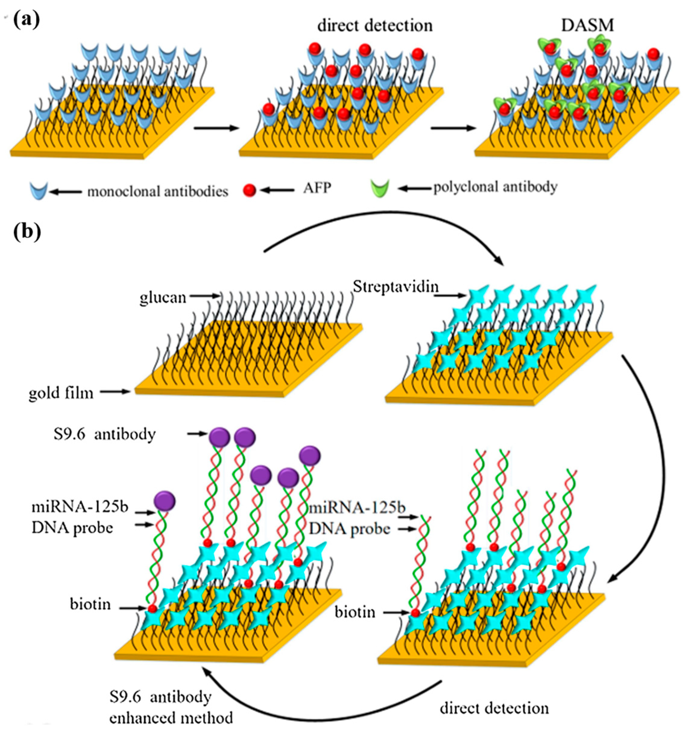 Chemosensors 11 00504 g011