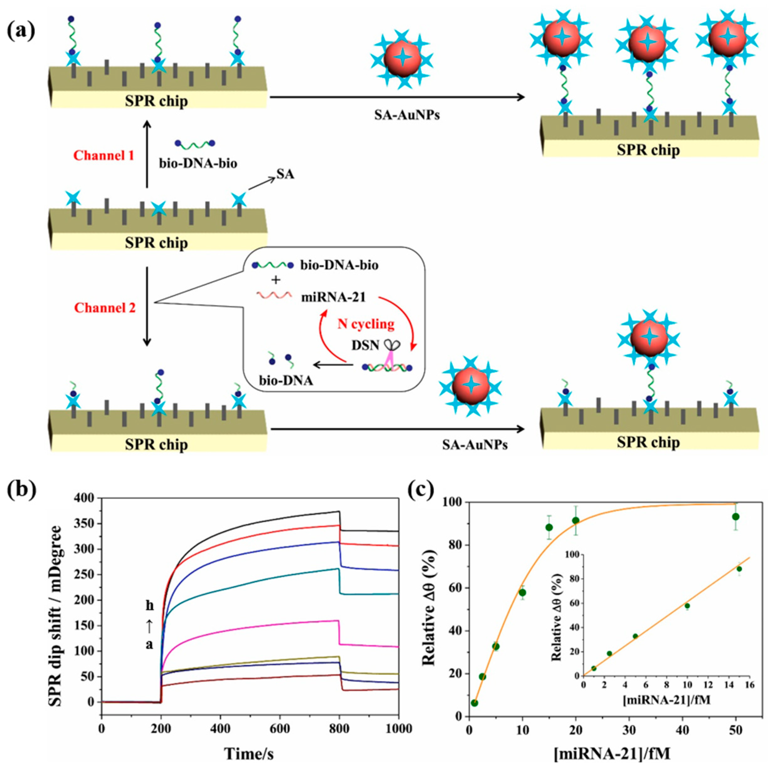 Chemosensors 11 00504 g012