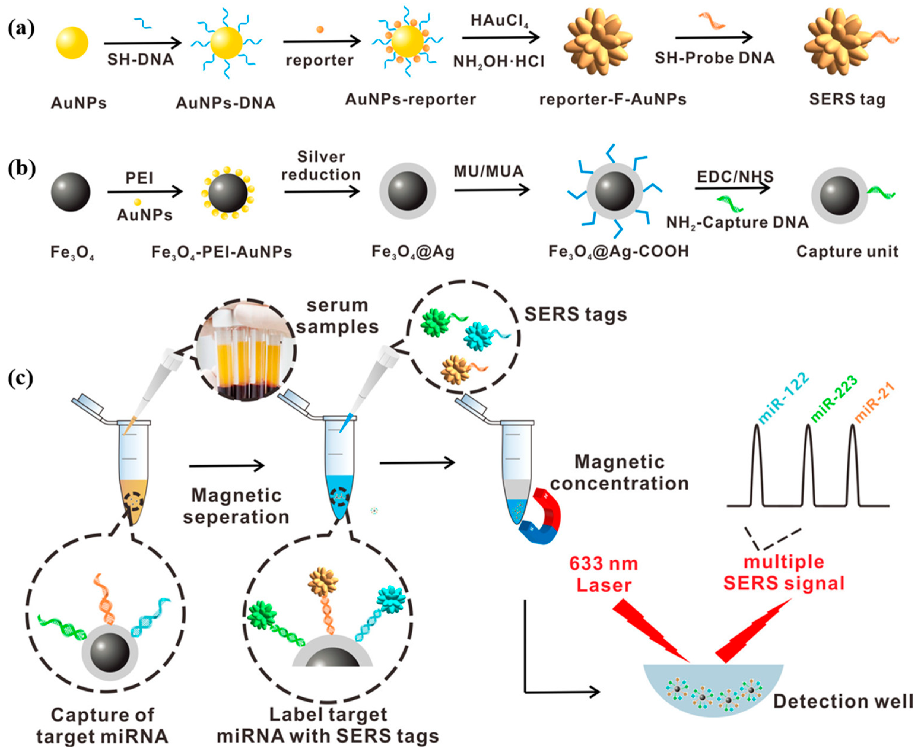 Chemosensors 11 00504 g013