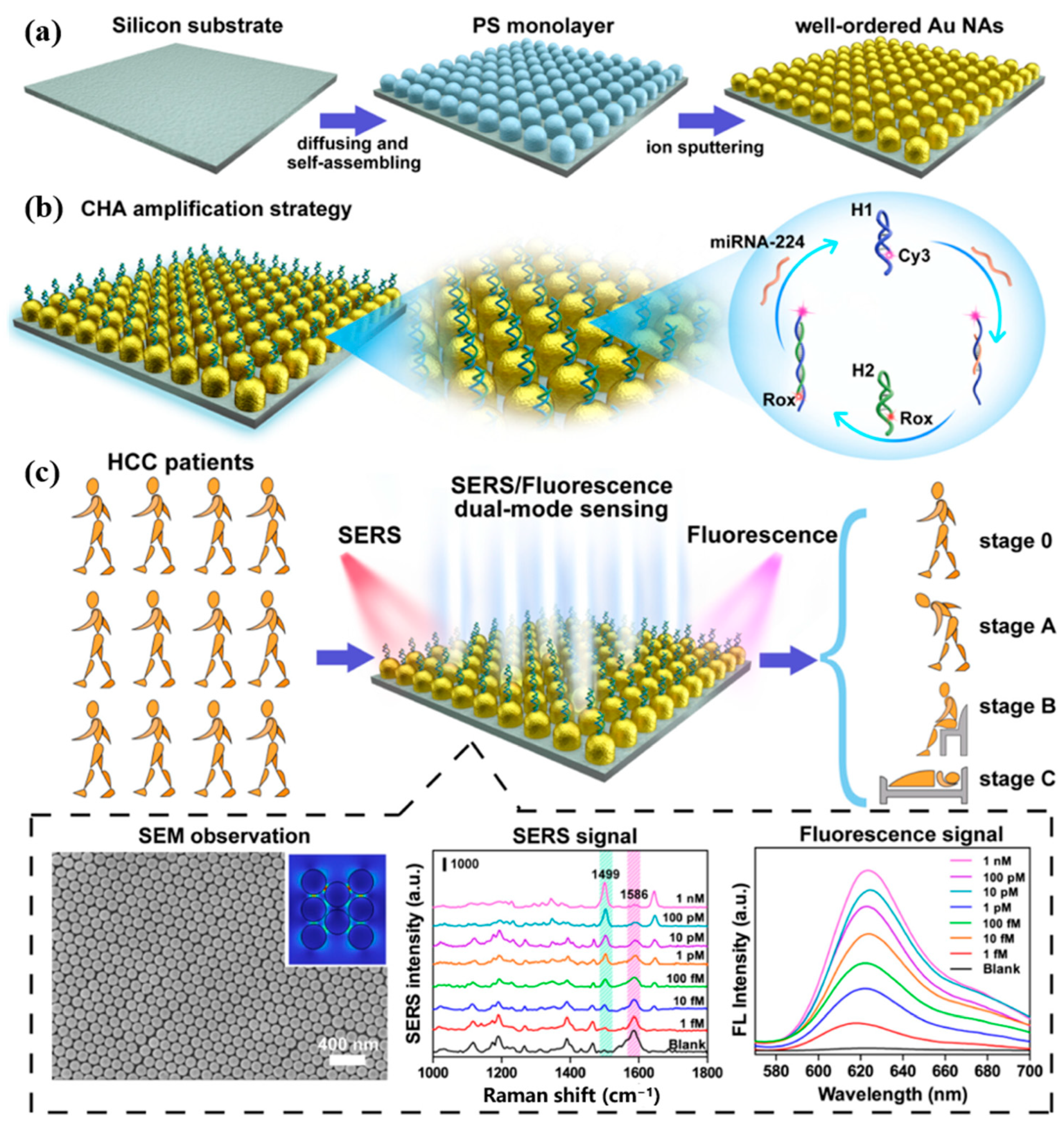 Chemosensors 11 00504 g014