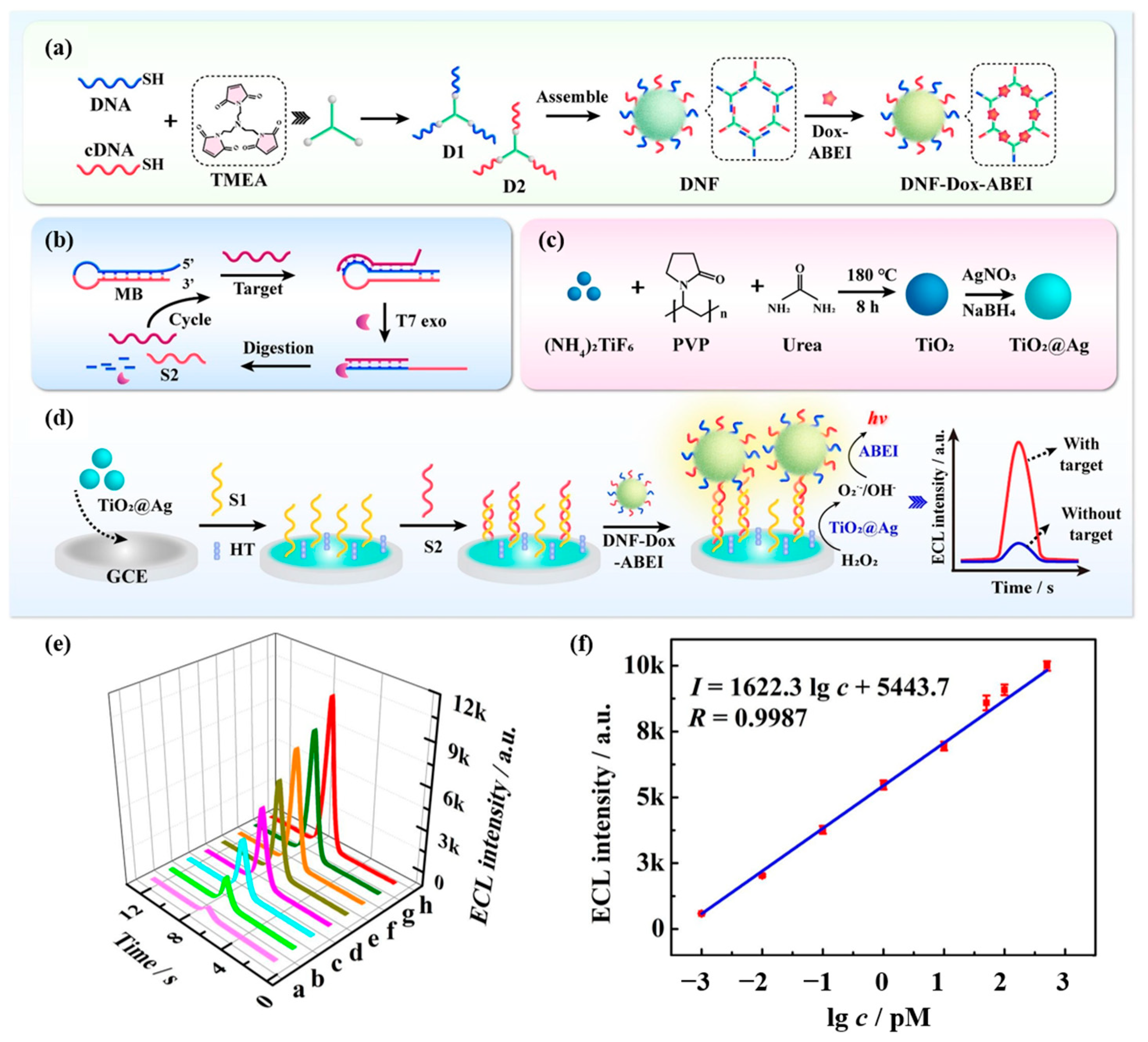 Chemosensors 11 00504 g016