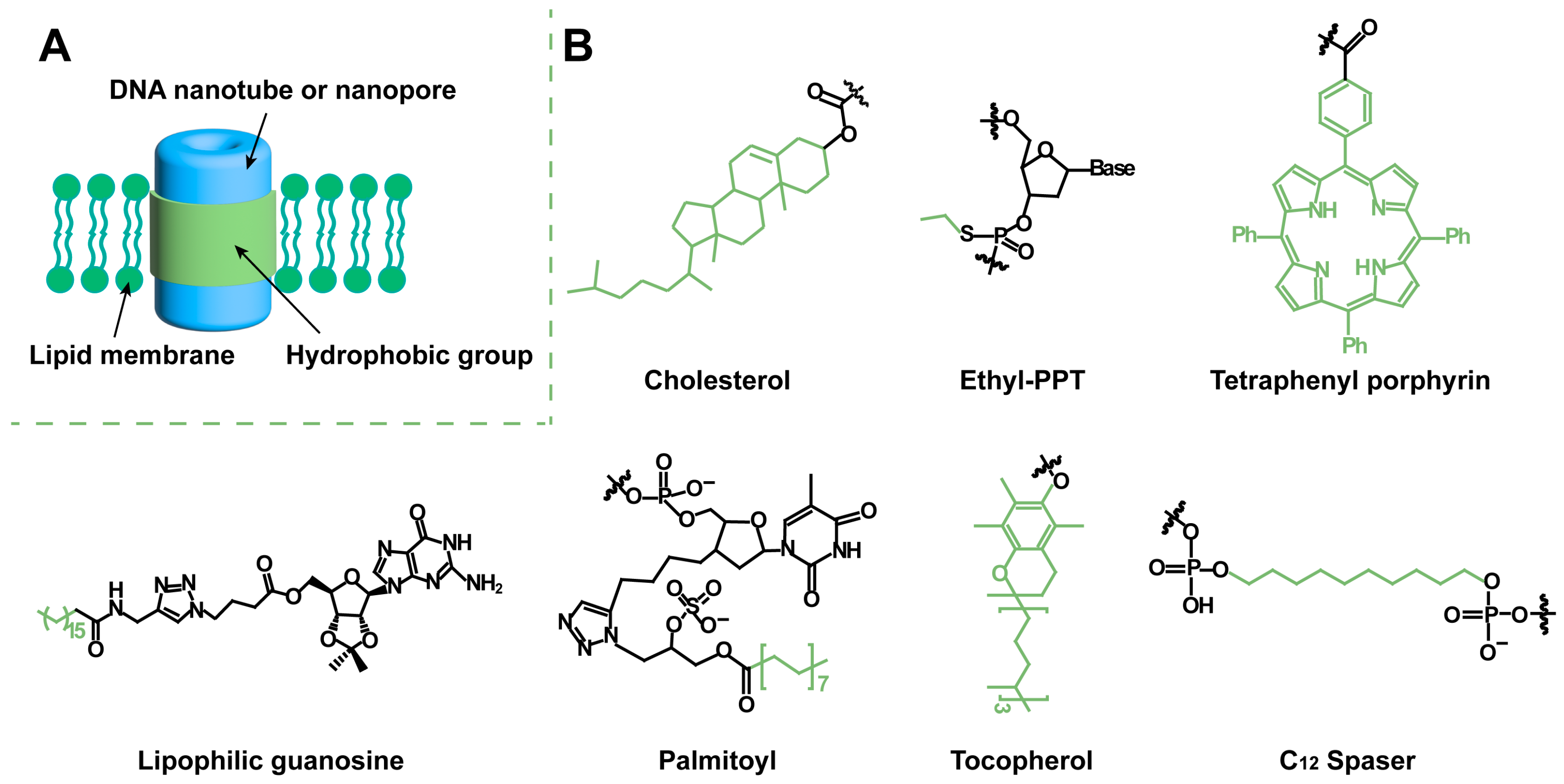 Chemosensors 11 00508 g001