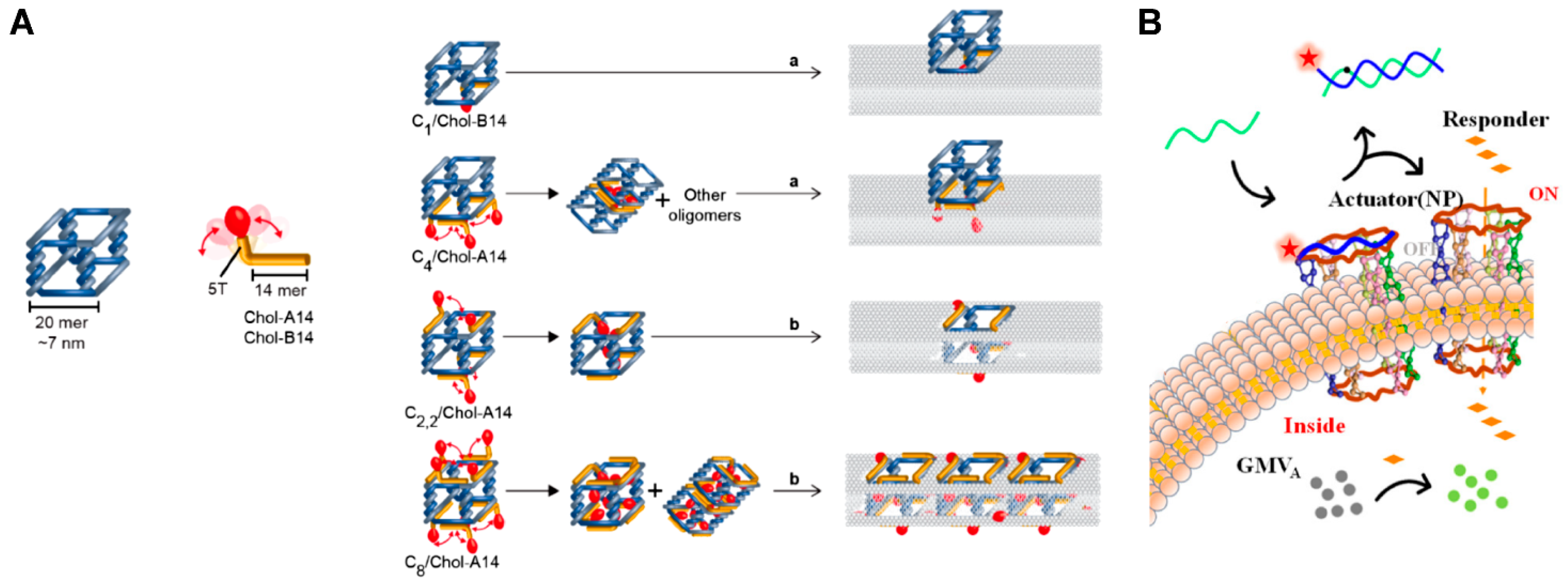 Chemosensors 11 00508 g002