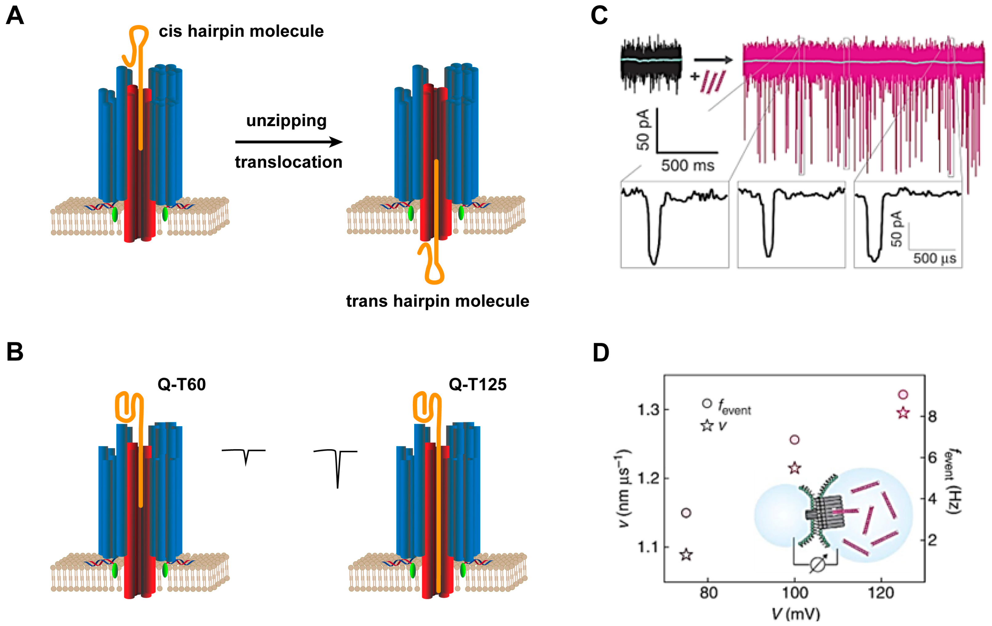 Chemosensors 11 00508 g007