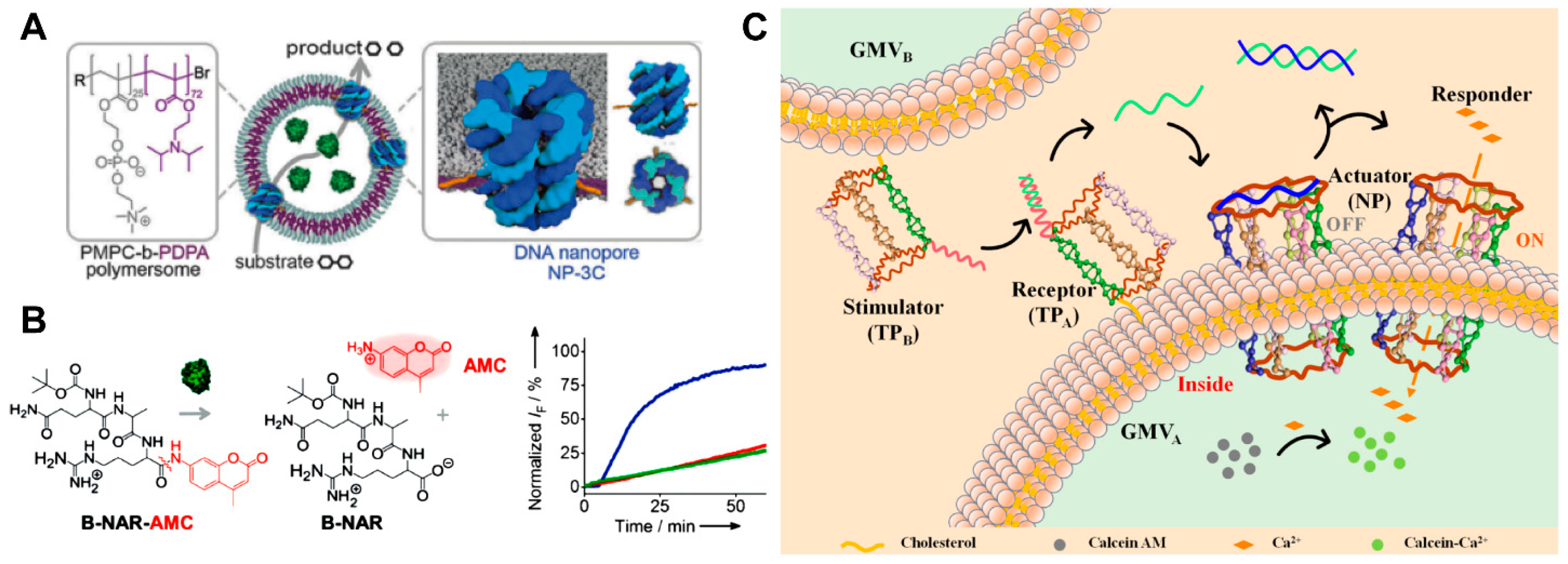 Chemosensors 11 00508 g010