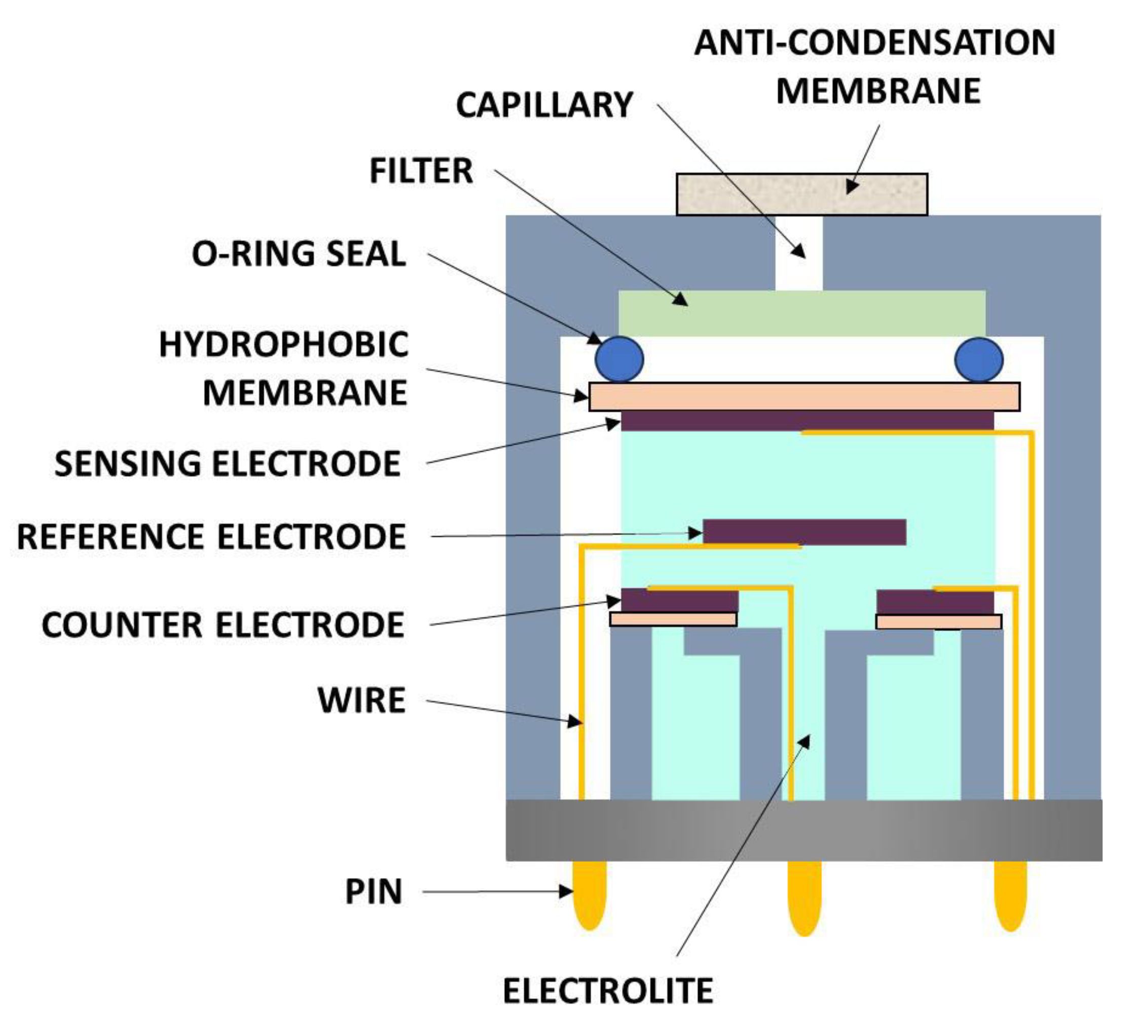 Chemosensors 11 00519 g002