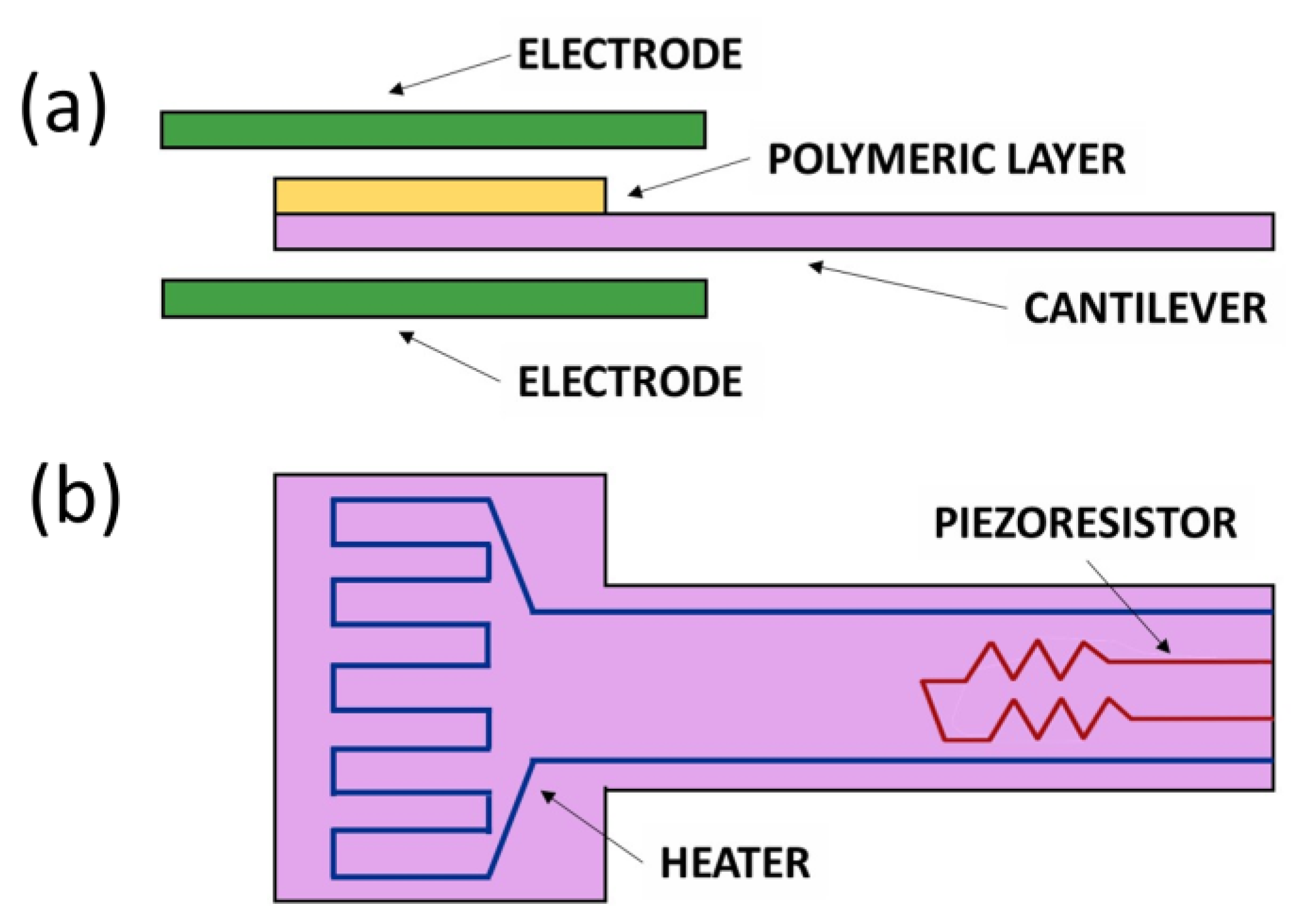 Chemosensors 11 00519 g003