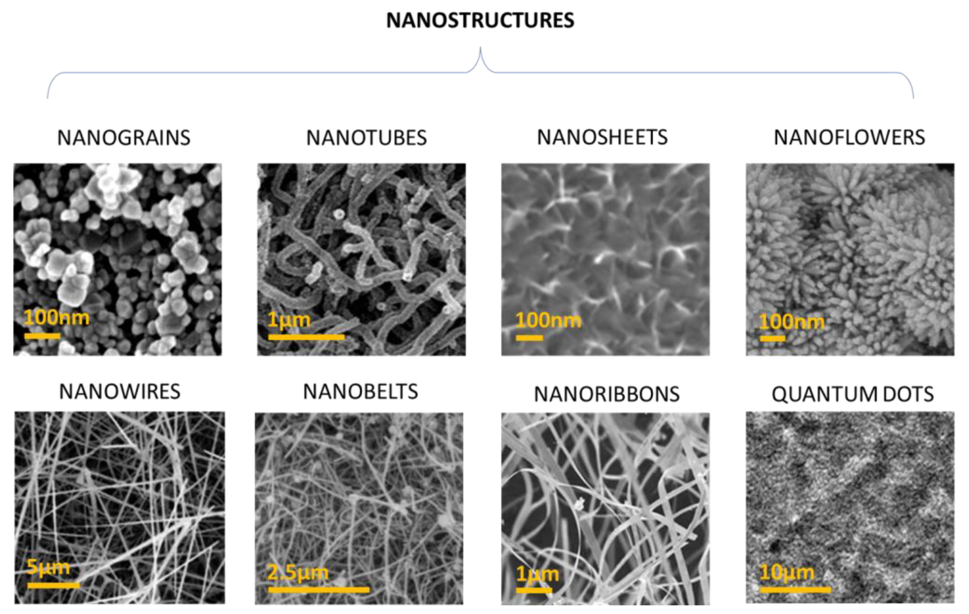 Chemosensors 11 00519 g007