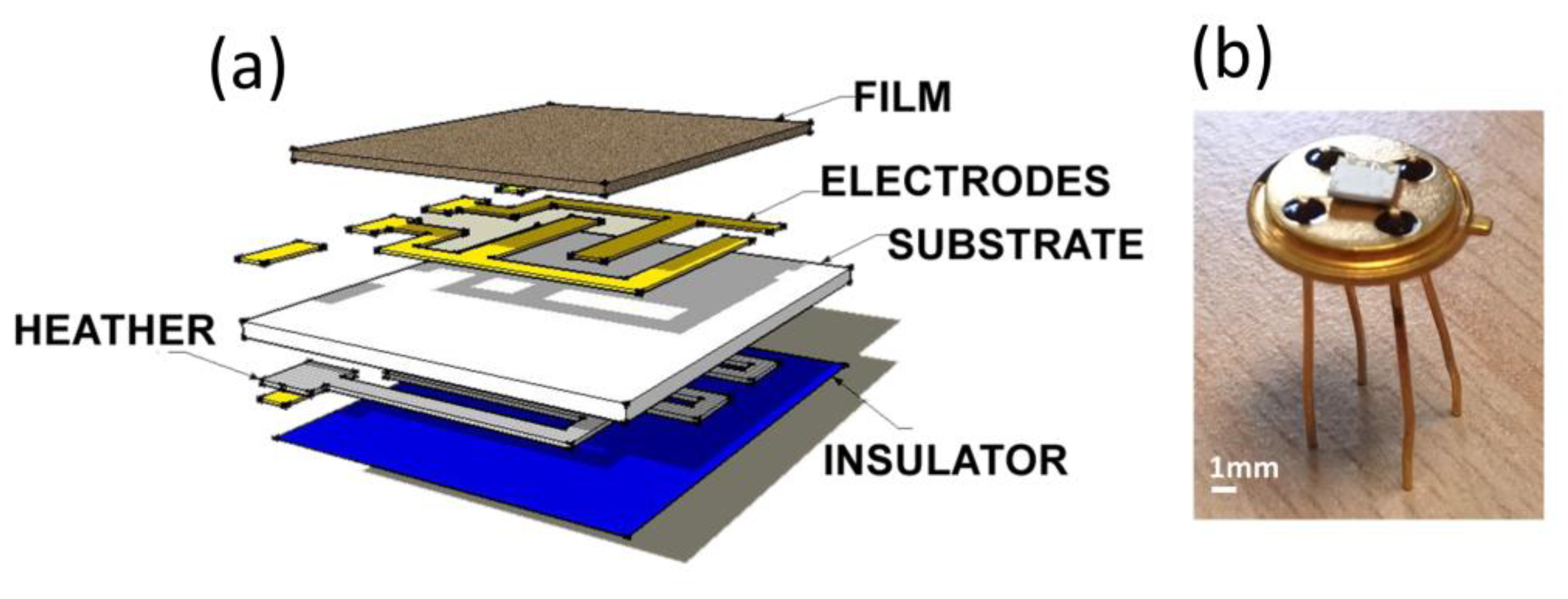 Chemosensors 11 00519 g010