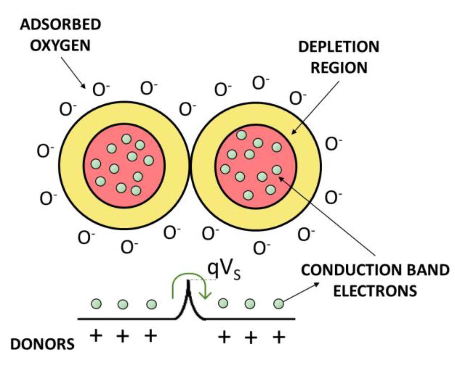 Chemosensors 11 00519 g011