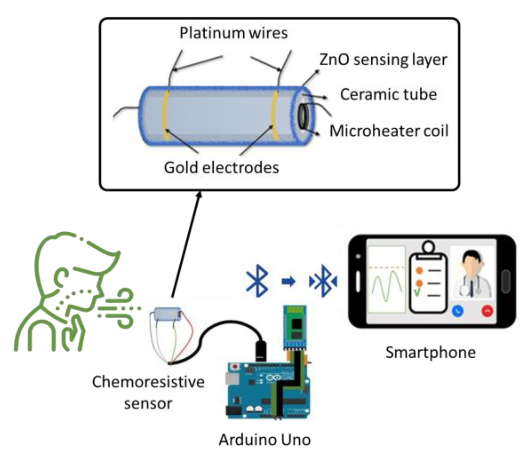 Chemosensors 11 00519 g016