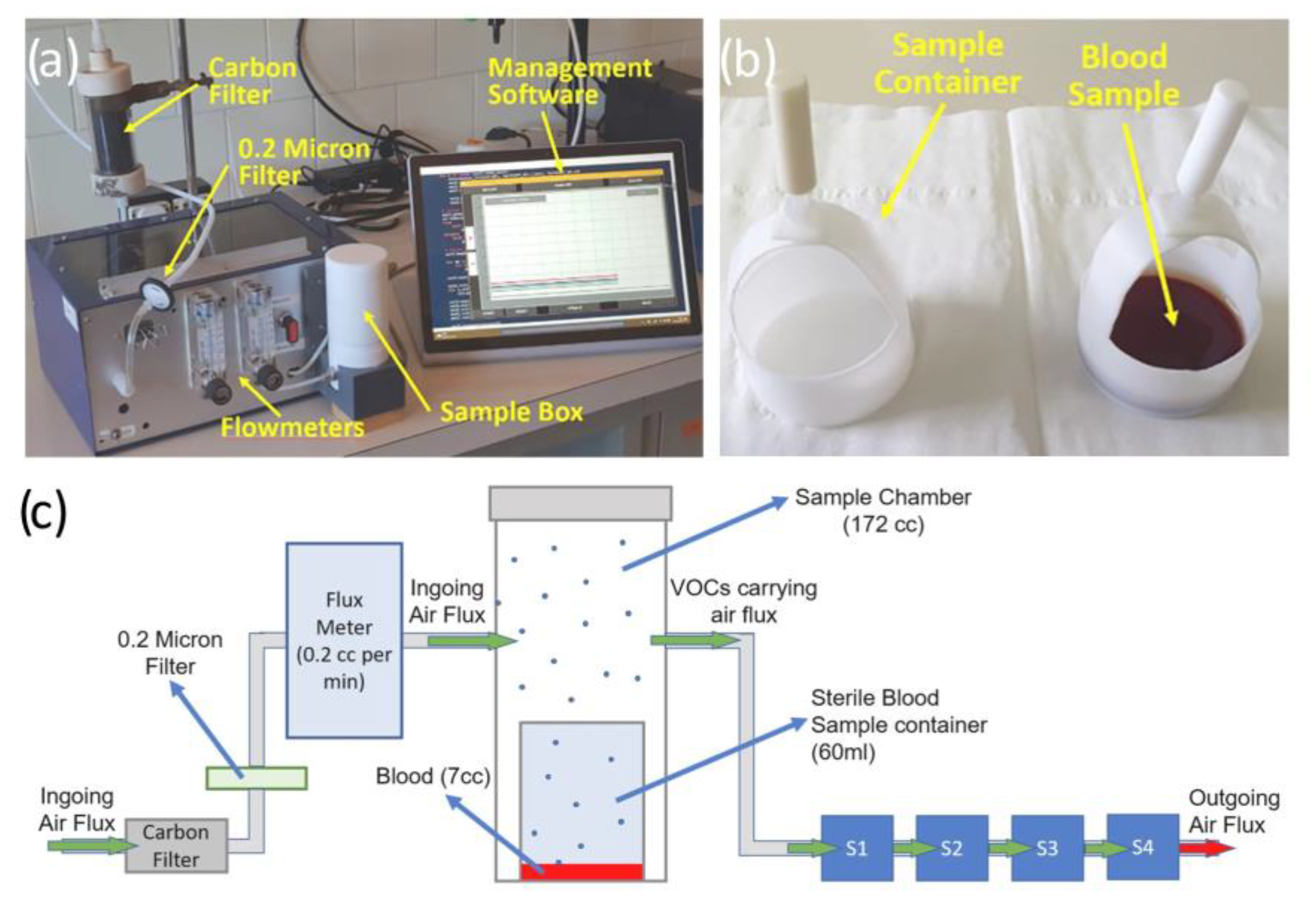 Chemosensors 11 00519 g020
